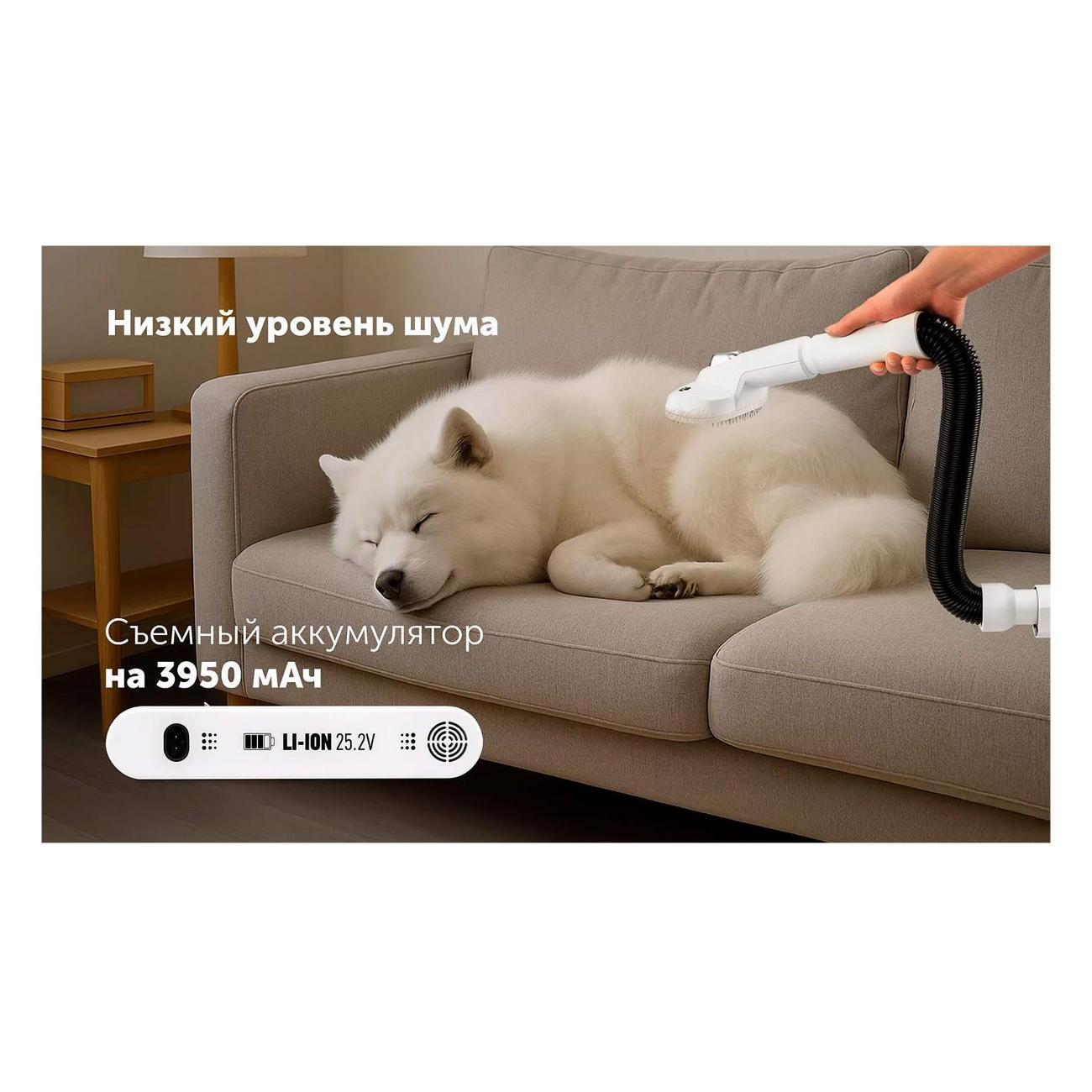 https://img.mvideo.ru/Big/400494229bb10.jpg