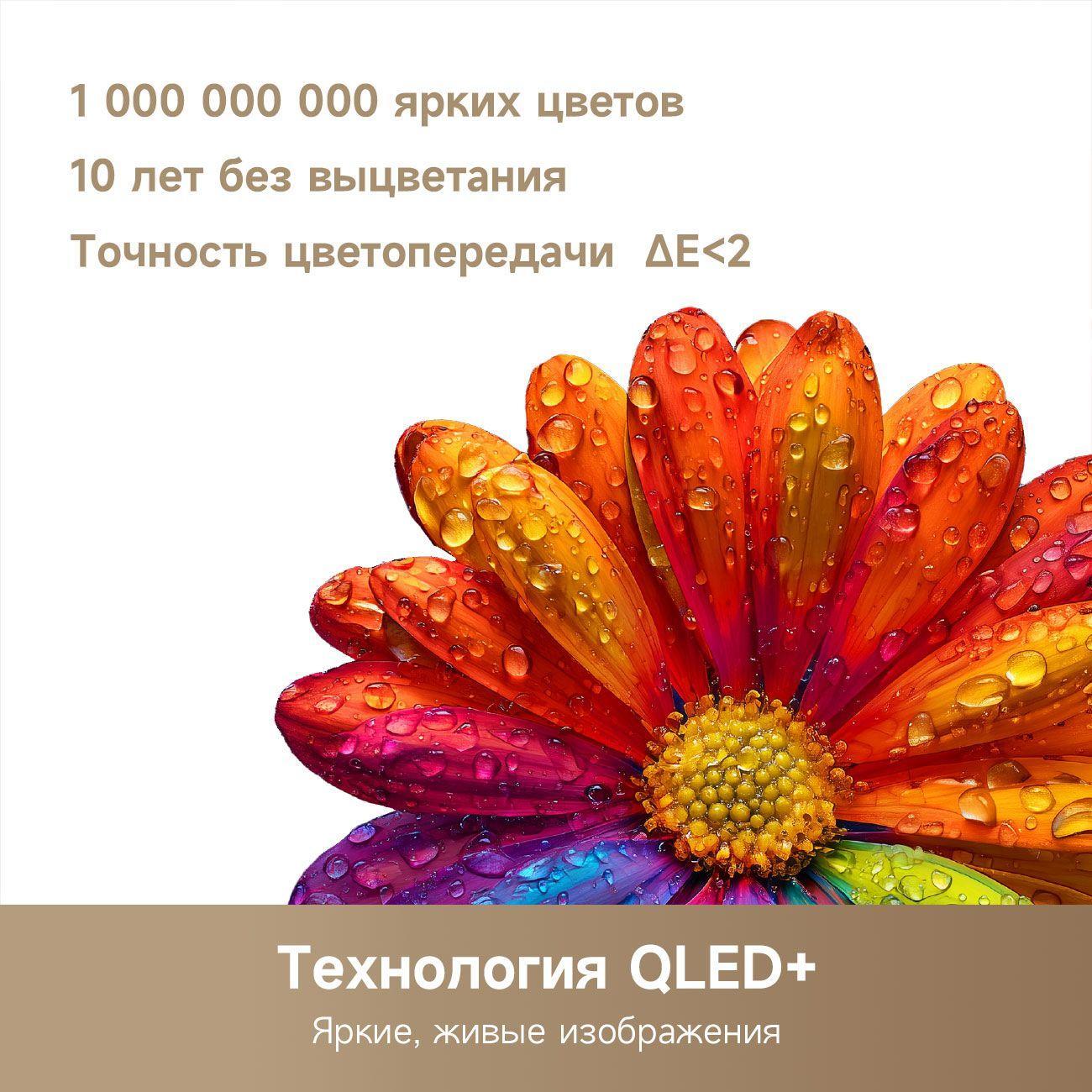 https://img.mvideo.ru/Big/400496903bb7.jpg