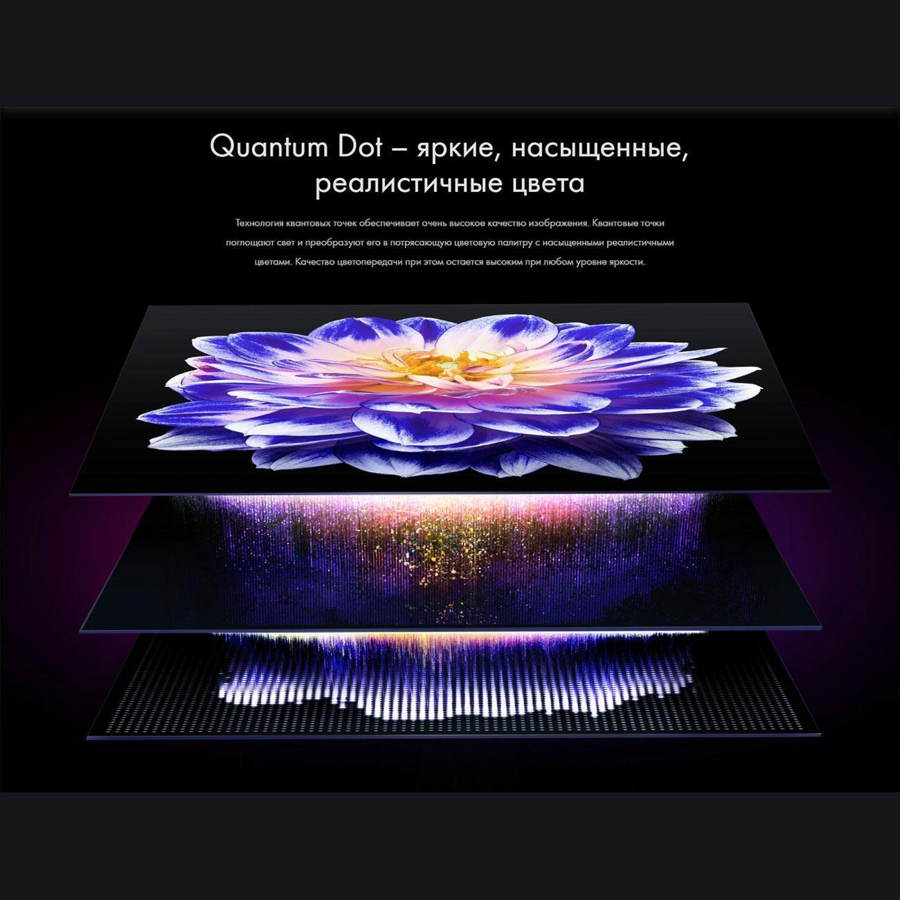 https://img.mvideo.ru/Big/400496981bb7.jpg