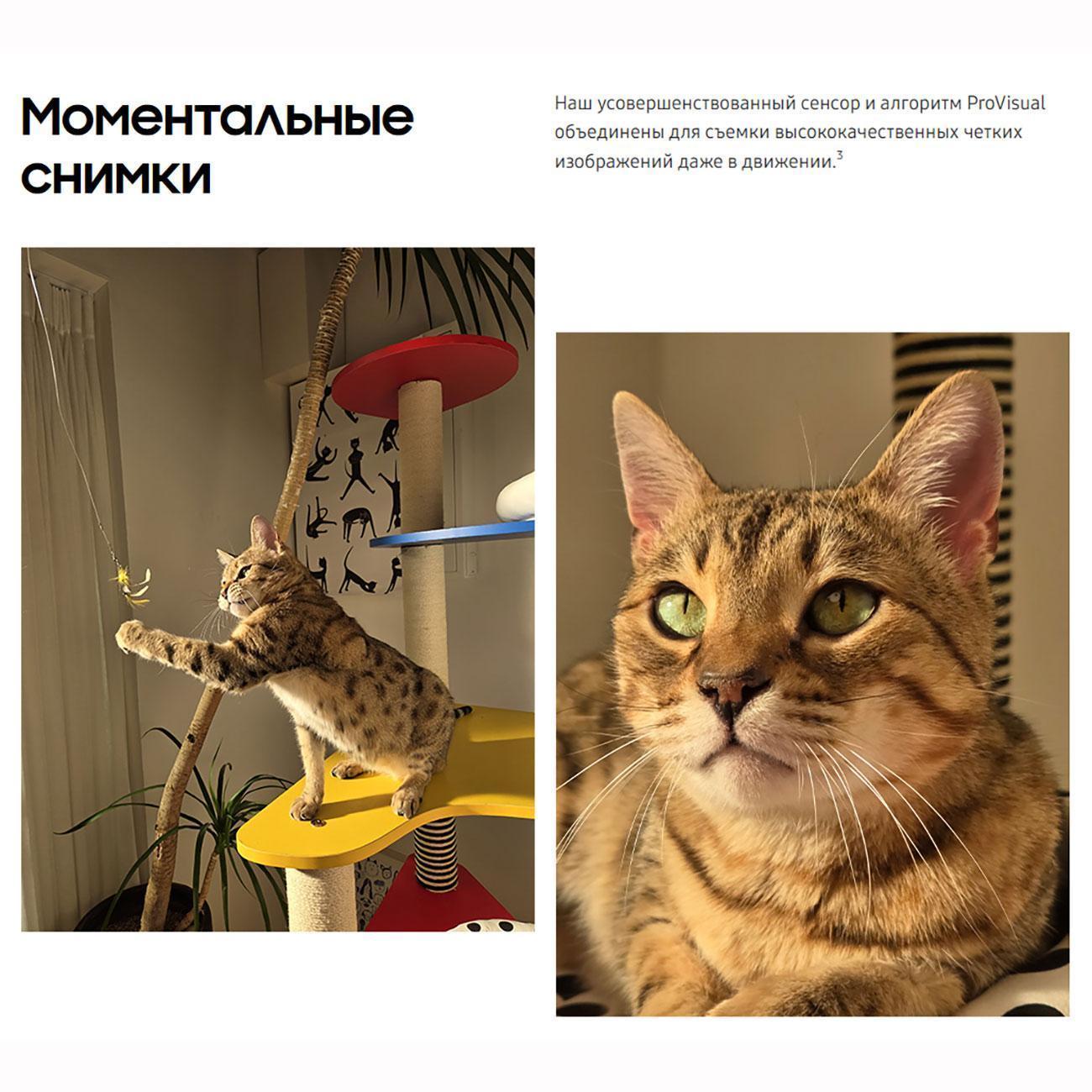 https://img.mvideo.ru/Big/400501581bb14.jpg