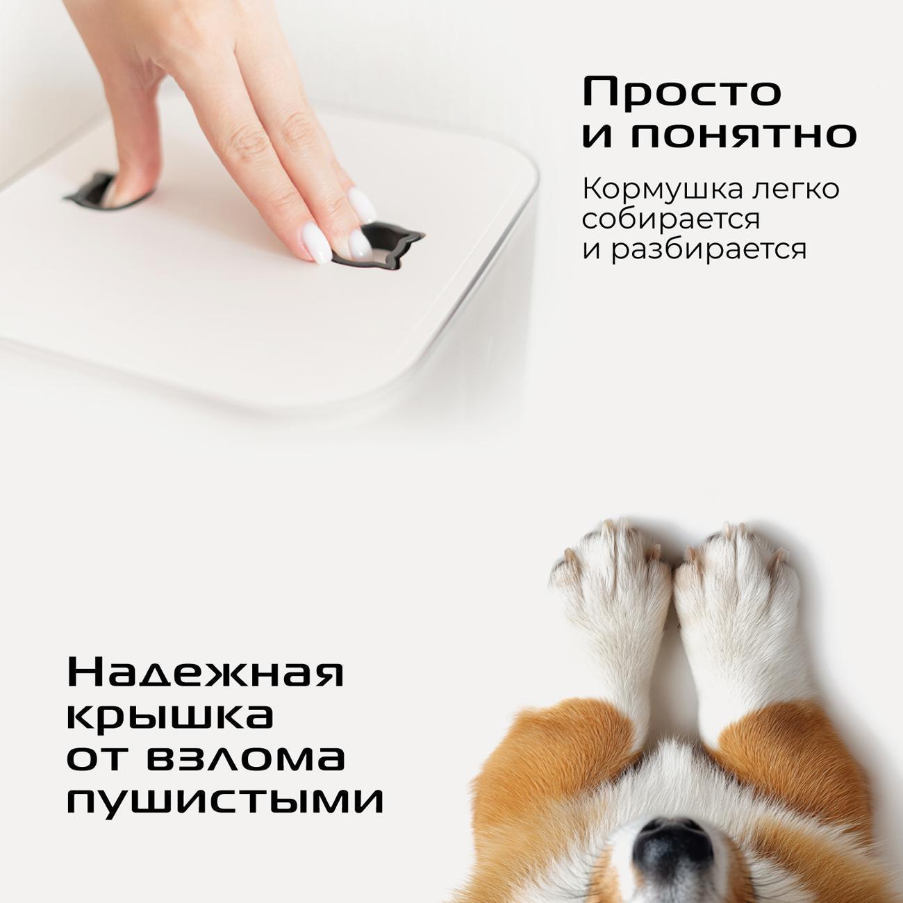https://img.mvideo.ru/Big/400502650bb10.jpg