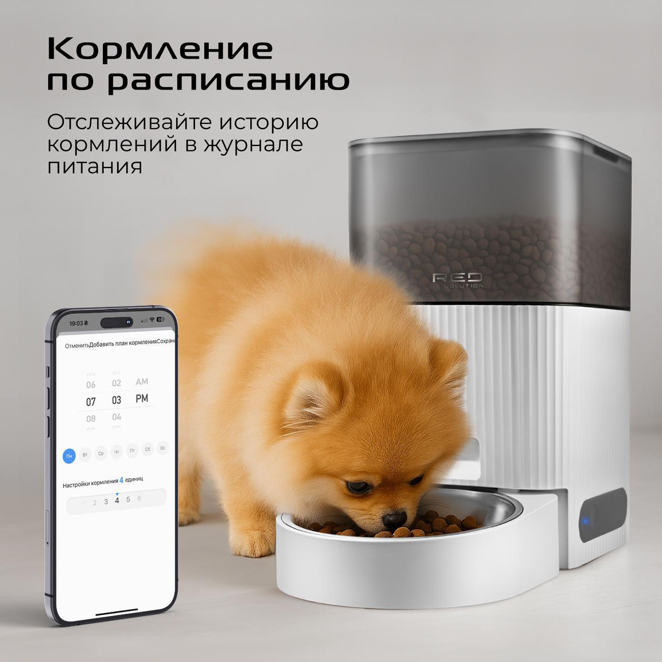 https://img.mvideo.ru/Big/400502650bb3.jpg