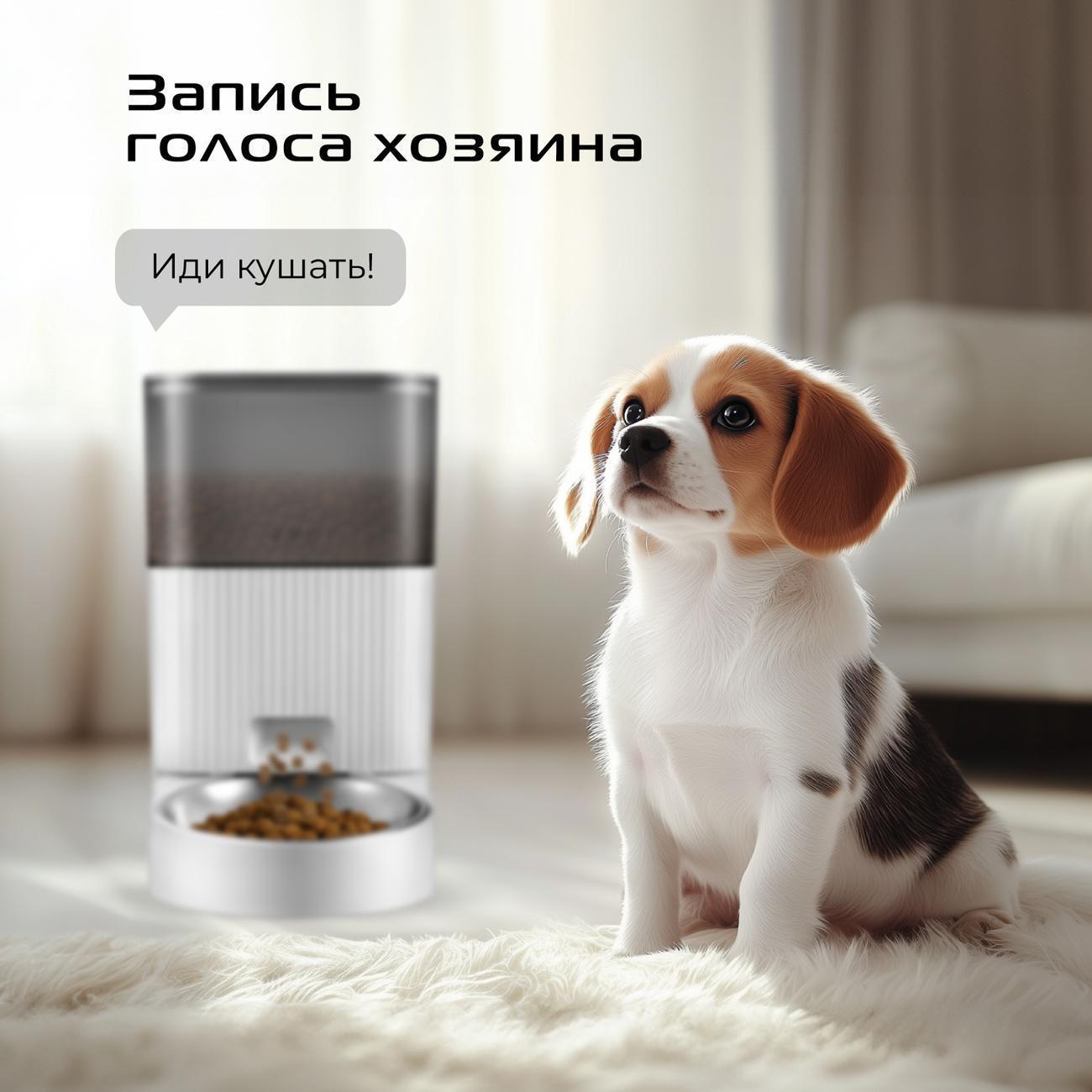 https://img.mvideo.ru/Big/400502650bb5.jpg