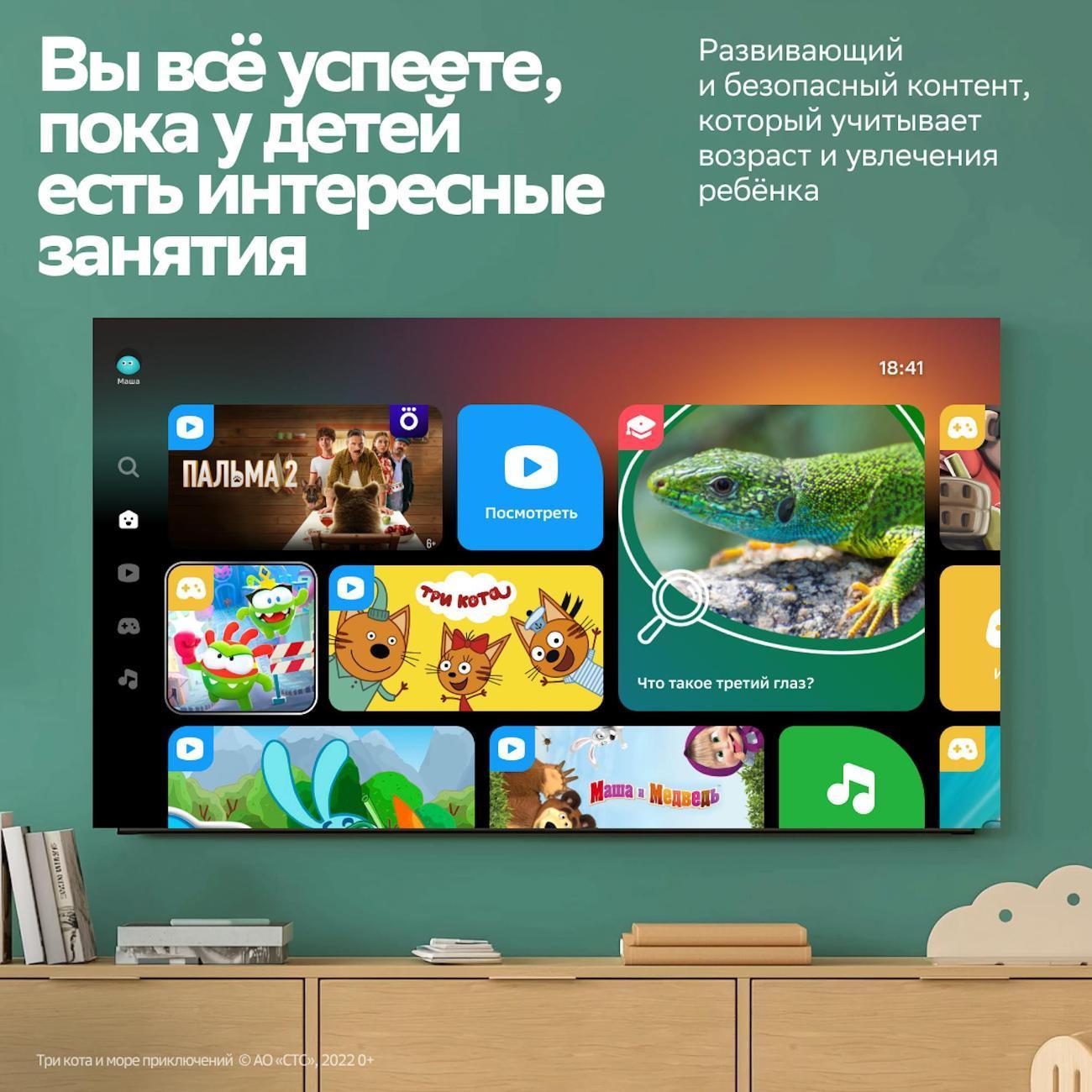 https://img.mvideo.ru/Big/400505476bb7.jpg