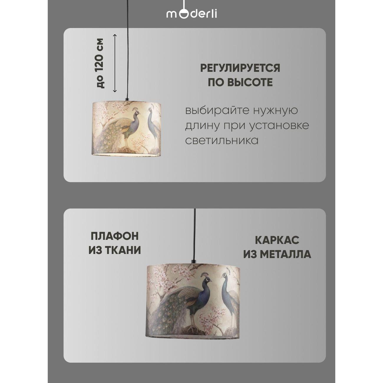 https://img.mvideo.ru/Big/400505825bb1.jpg