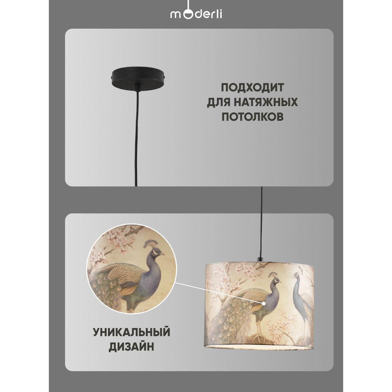 https://img.mvideo.ru/Big/400505825bb2.jpg