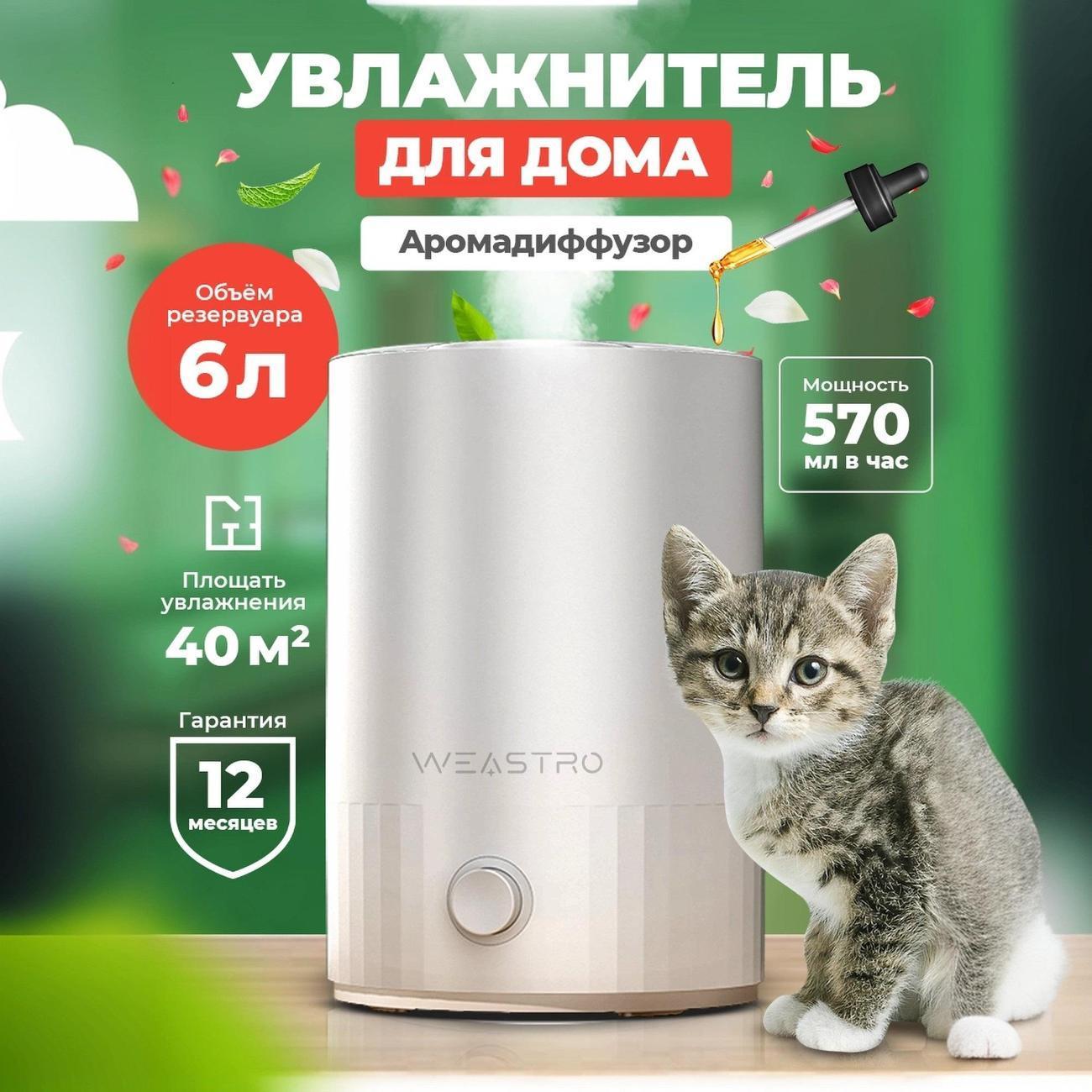 https://img.mvideo.ru/Big/400513793bb1.jpg