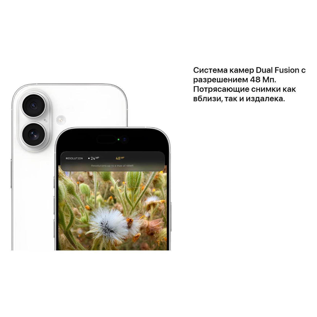 https://img.mvideo.ru/Big/400544483bb10.jpg