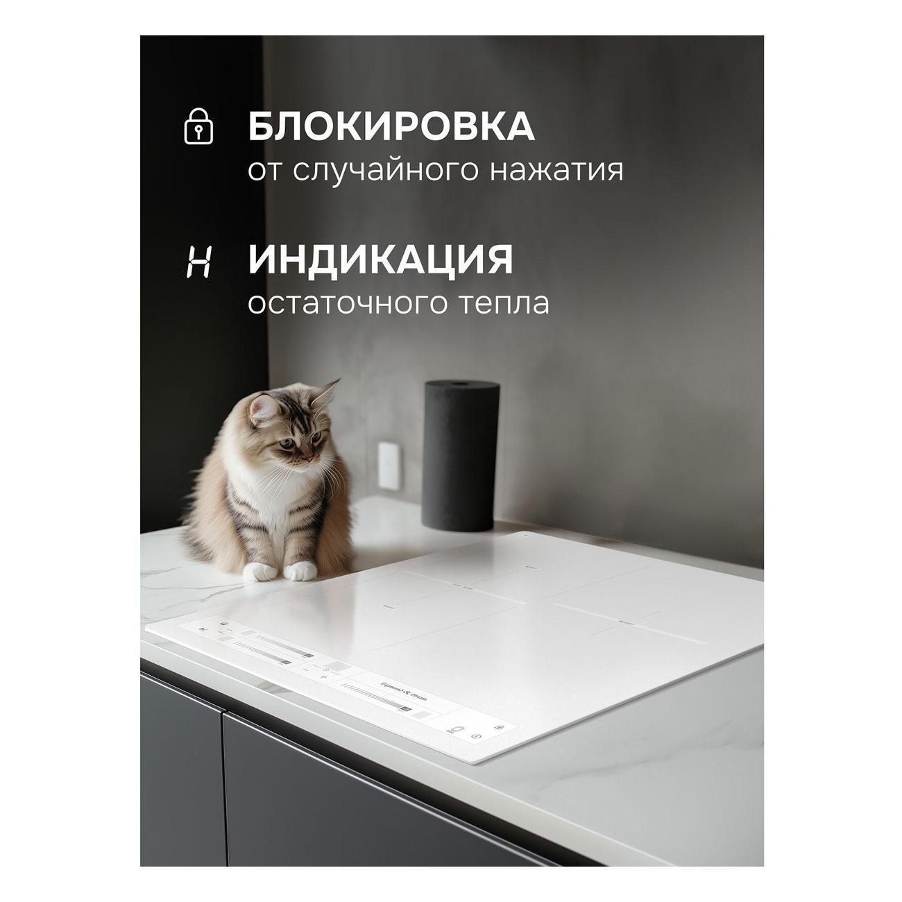 https://img.mvideo.ru/Big/400556550bb2.jpg
