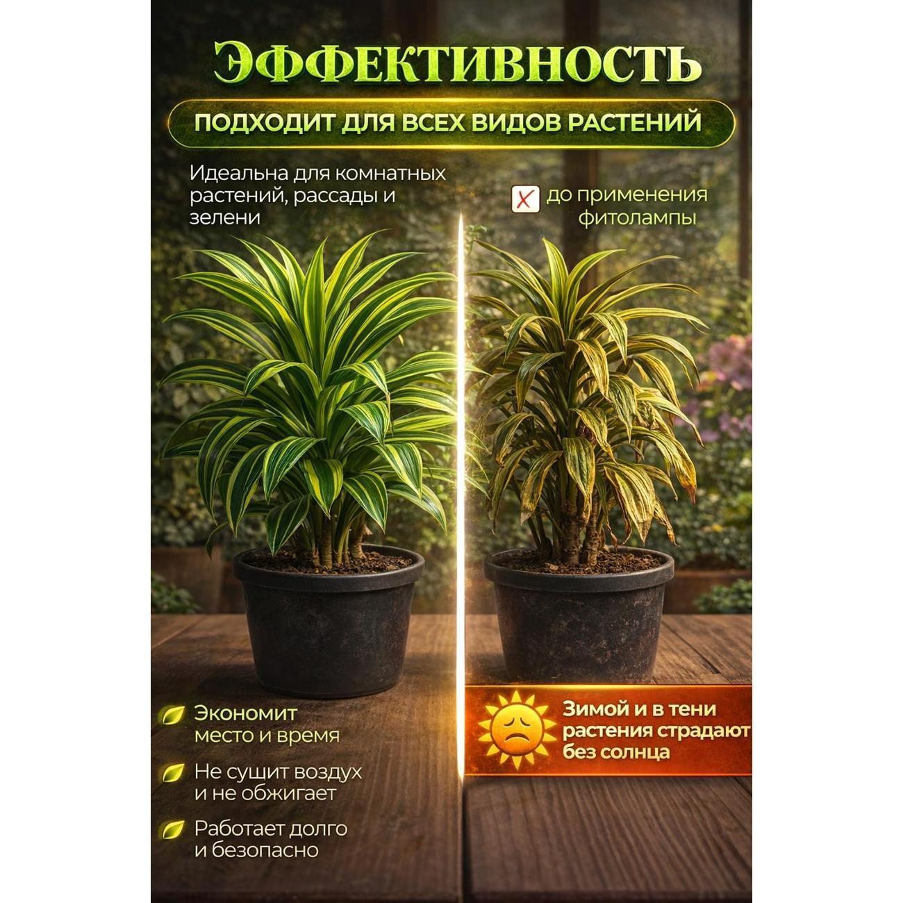 https://img.mvideo.ru/Big/400568488bb1.jpg