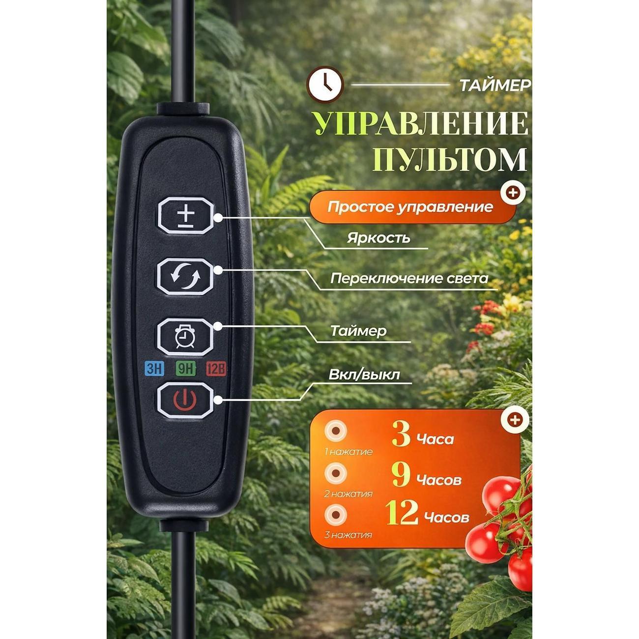 https://img.mvideo.ru/Big/400568488bb2.jpg