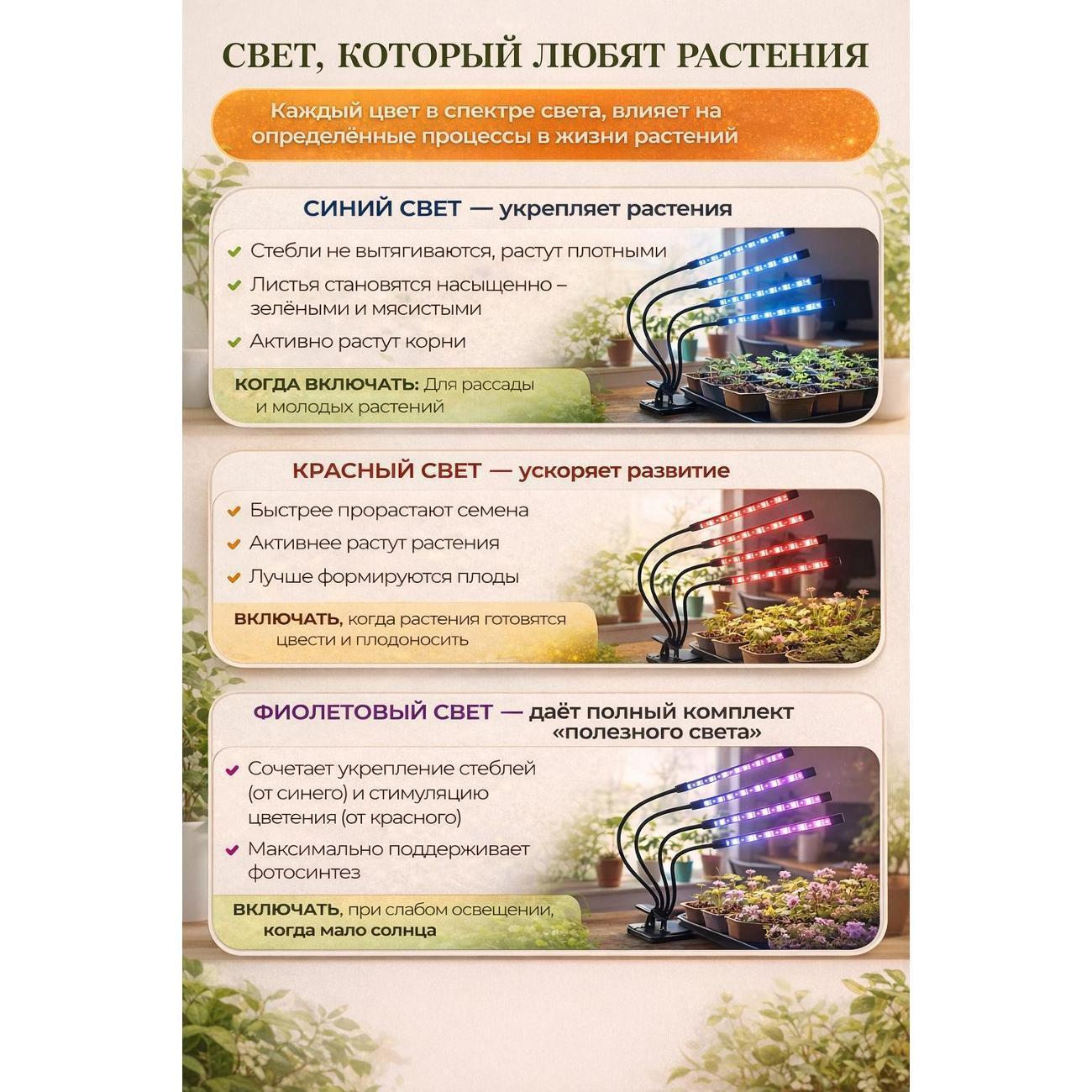 https://img.mvideo.ru/Big/400568488bb8.jpg