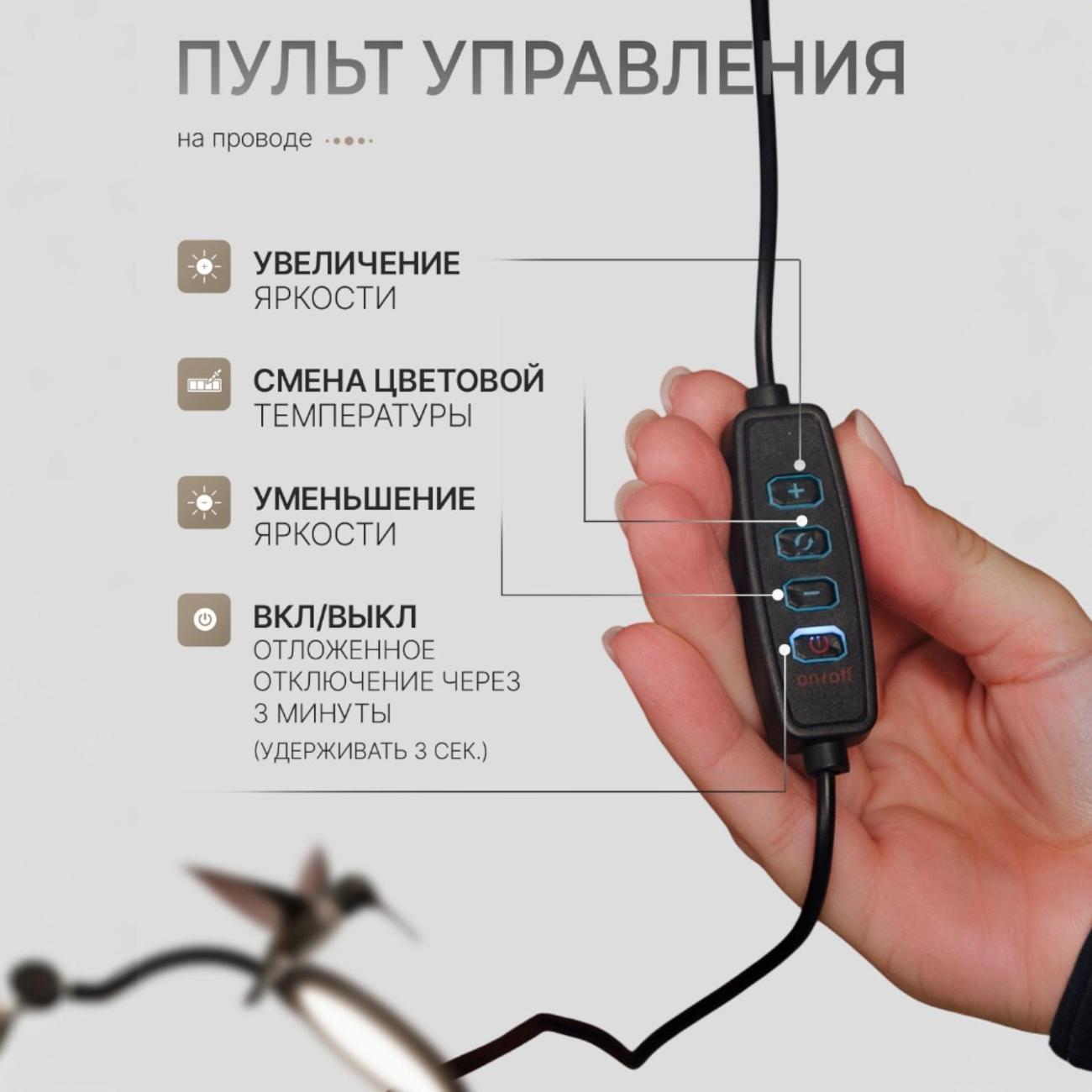 https://img.mvideo.ru/Big/400568747bb5.jpg