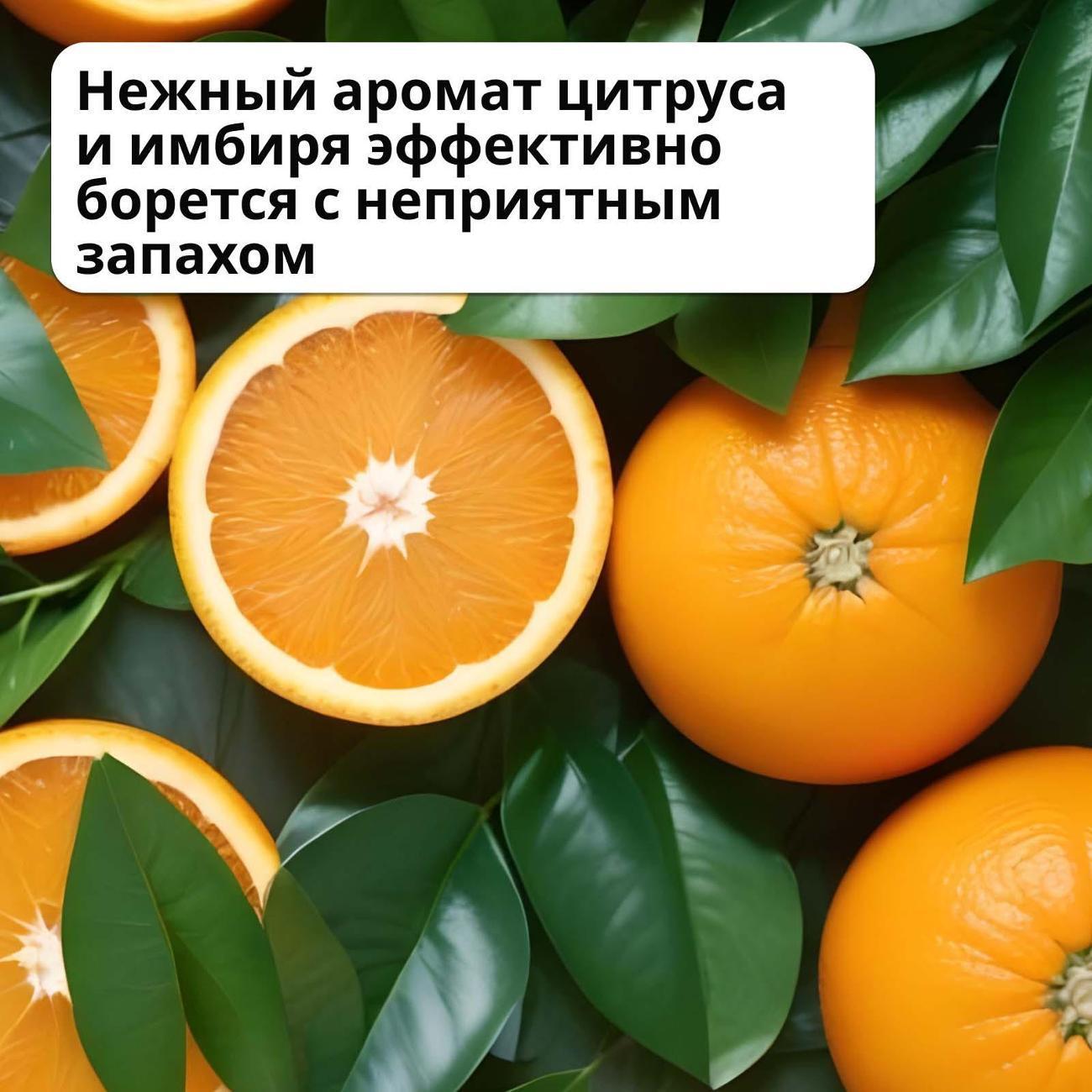 https://img.mvideo.ru/Big/400574273bb5.jpg