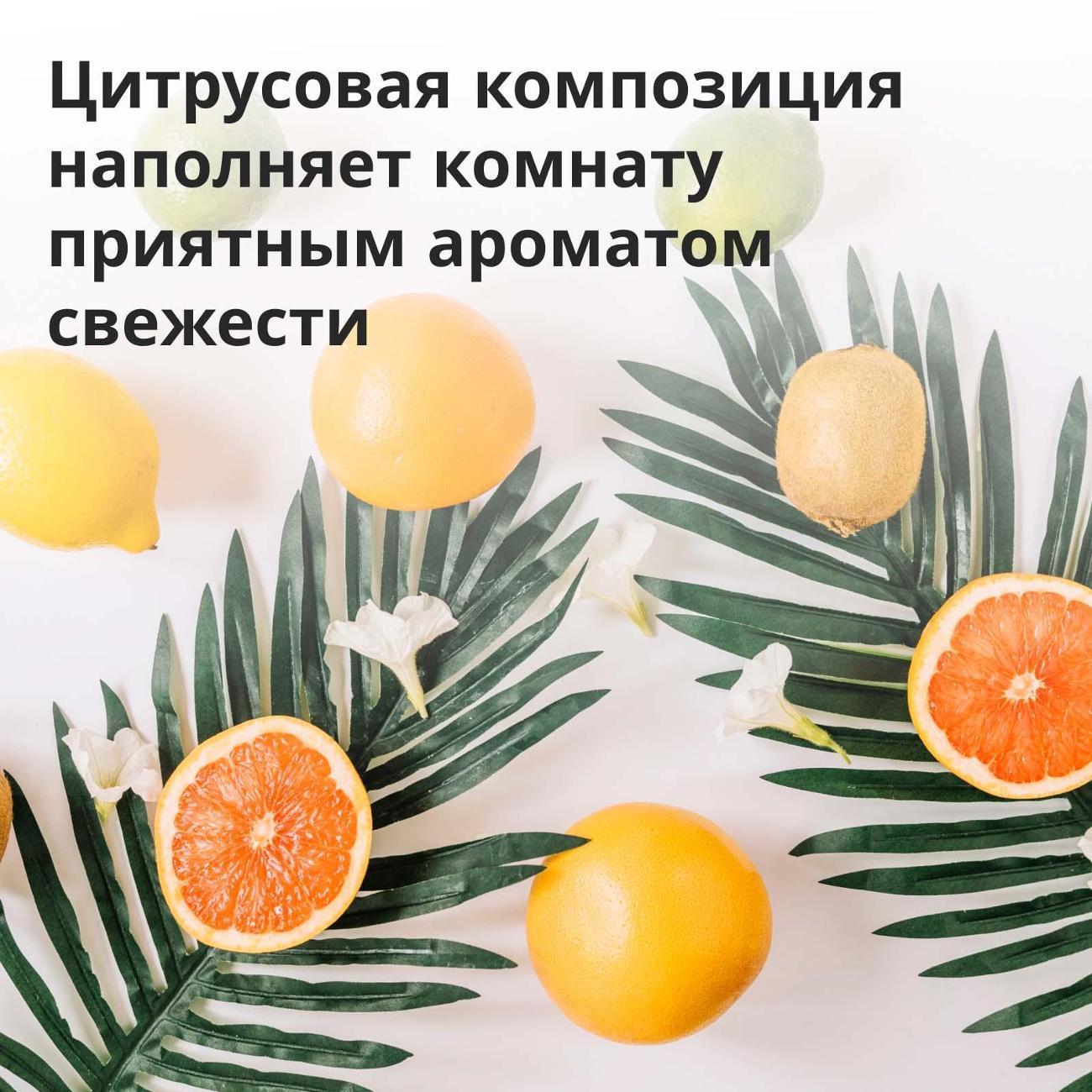 https://img.mvideo.ru/Big/400589601bb6.jpg