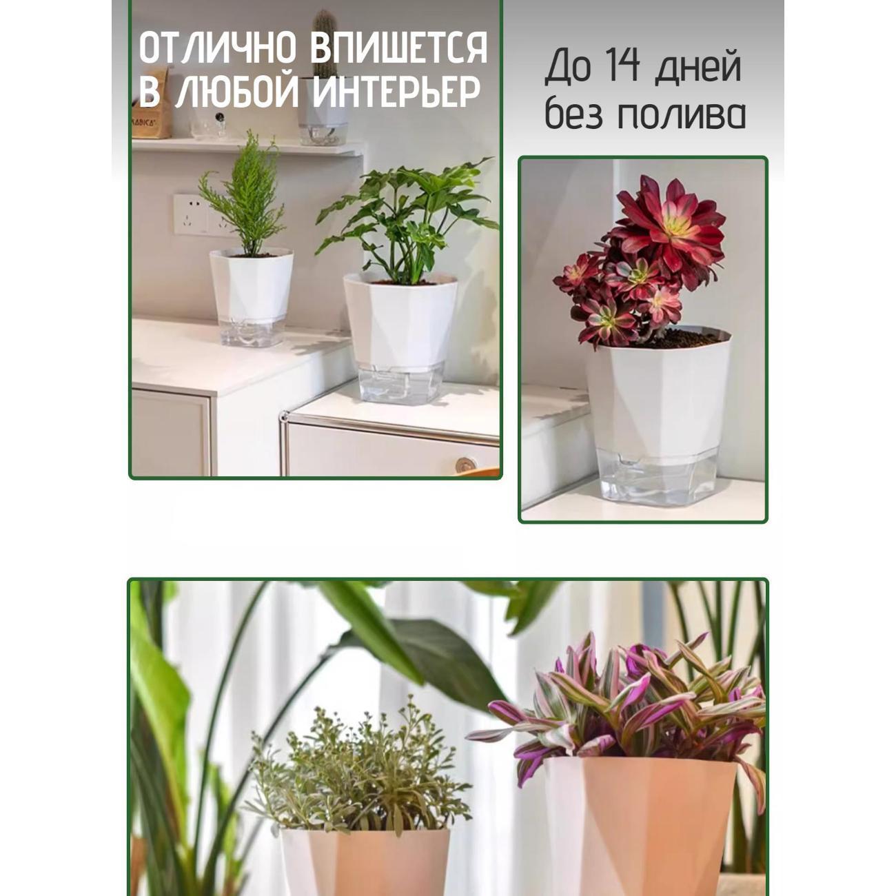 https://img.mvideo.ru/Big/400596104bb2.jpg