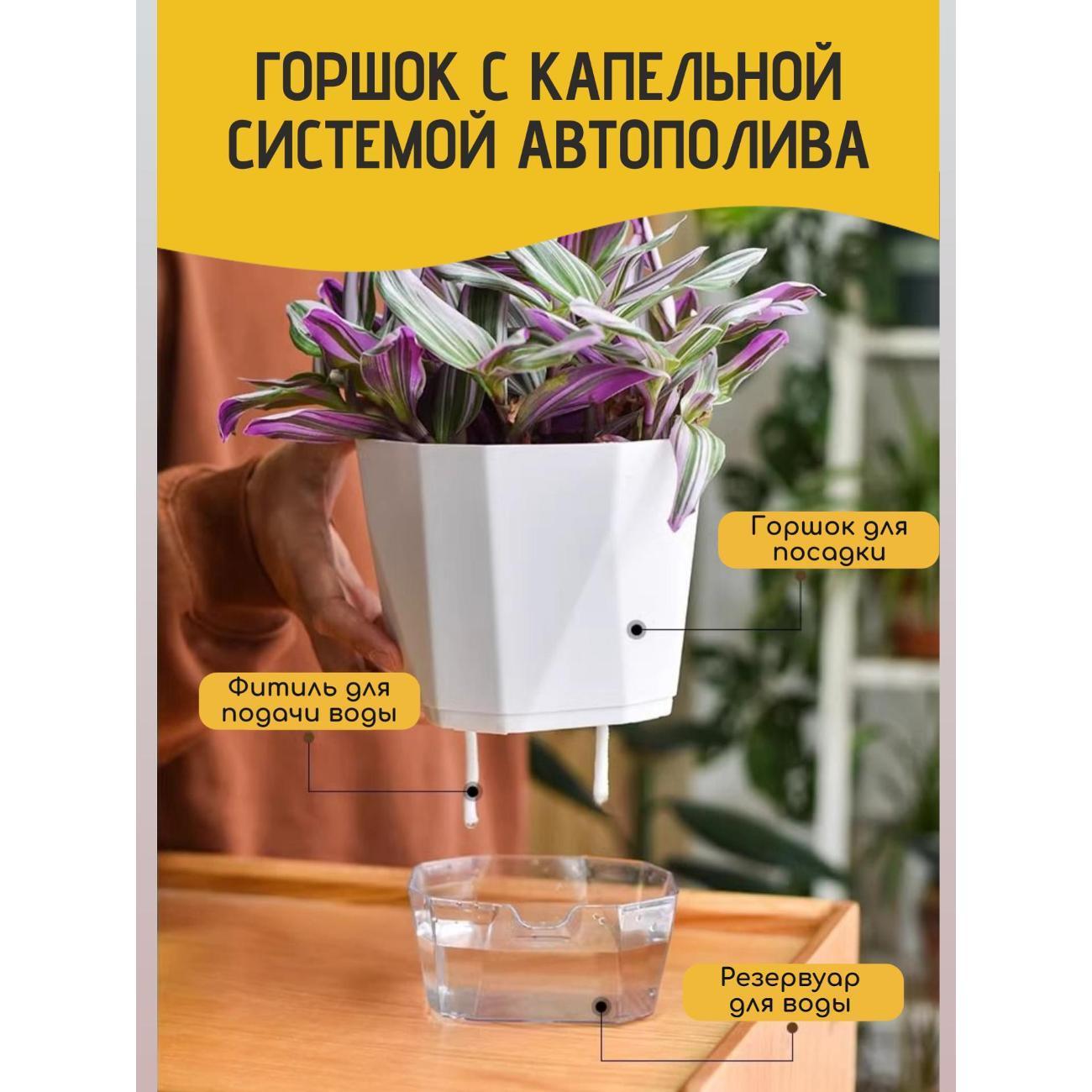https://img.mvideo.ru/Big/400596104bb4.jpg