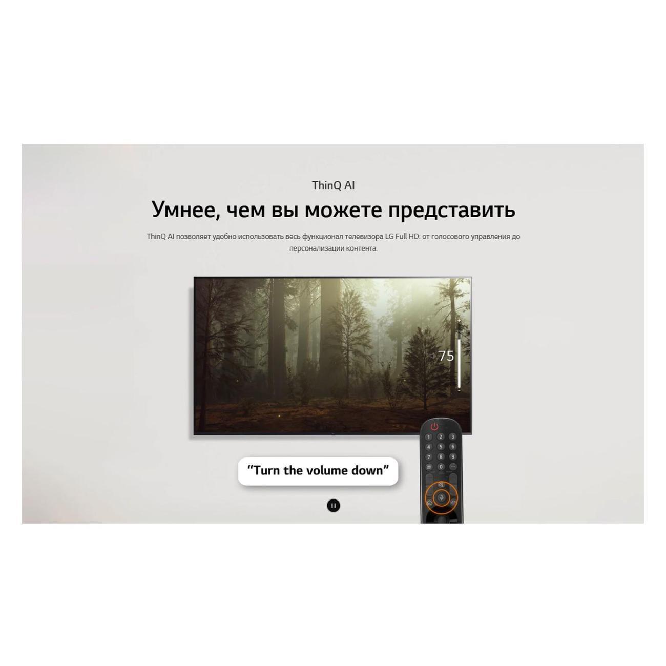 https://img.mvideo.ru/Big/400606920bb10.jpg