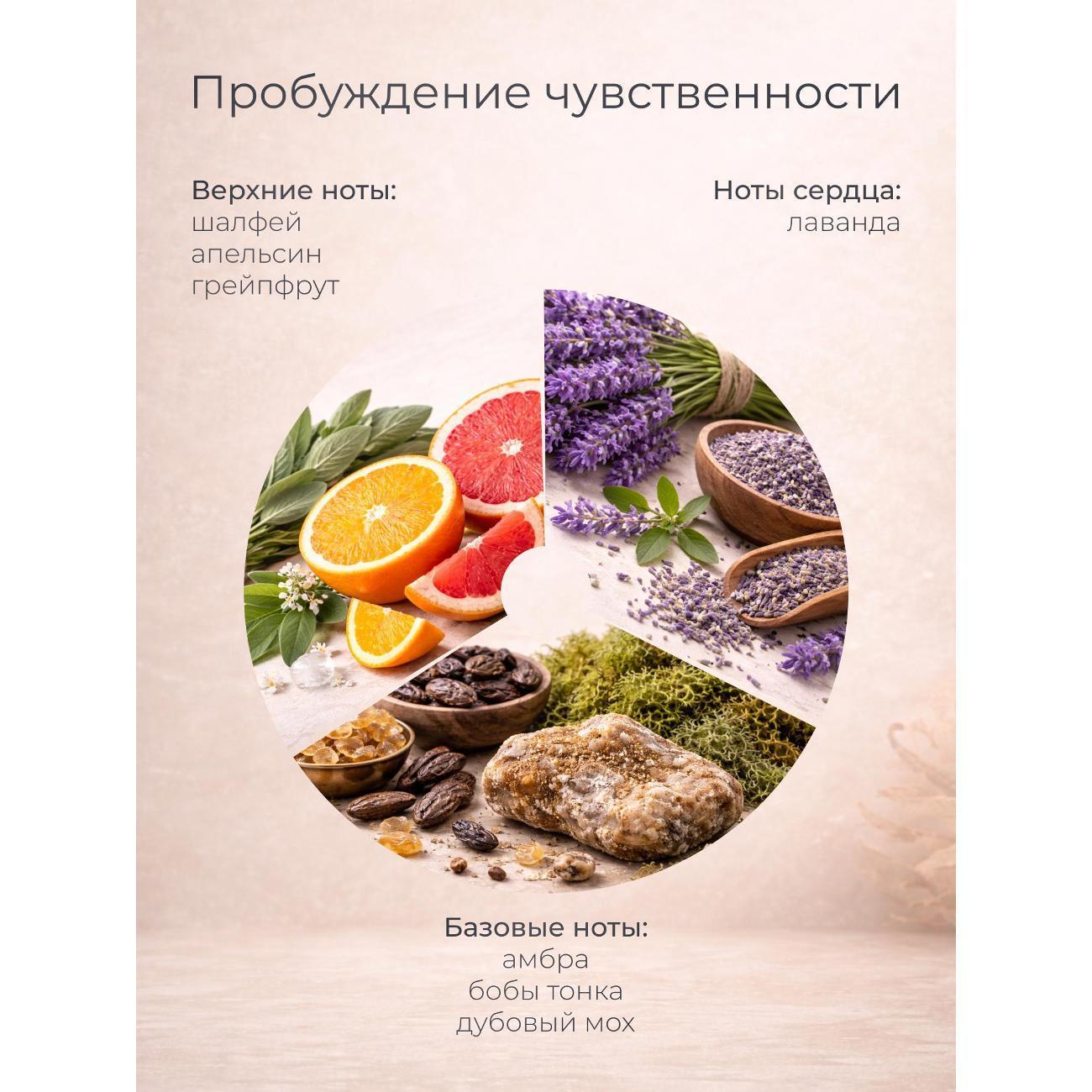 https://img.mvideo.ru/Big/400674229bb2.jpg