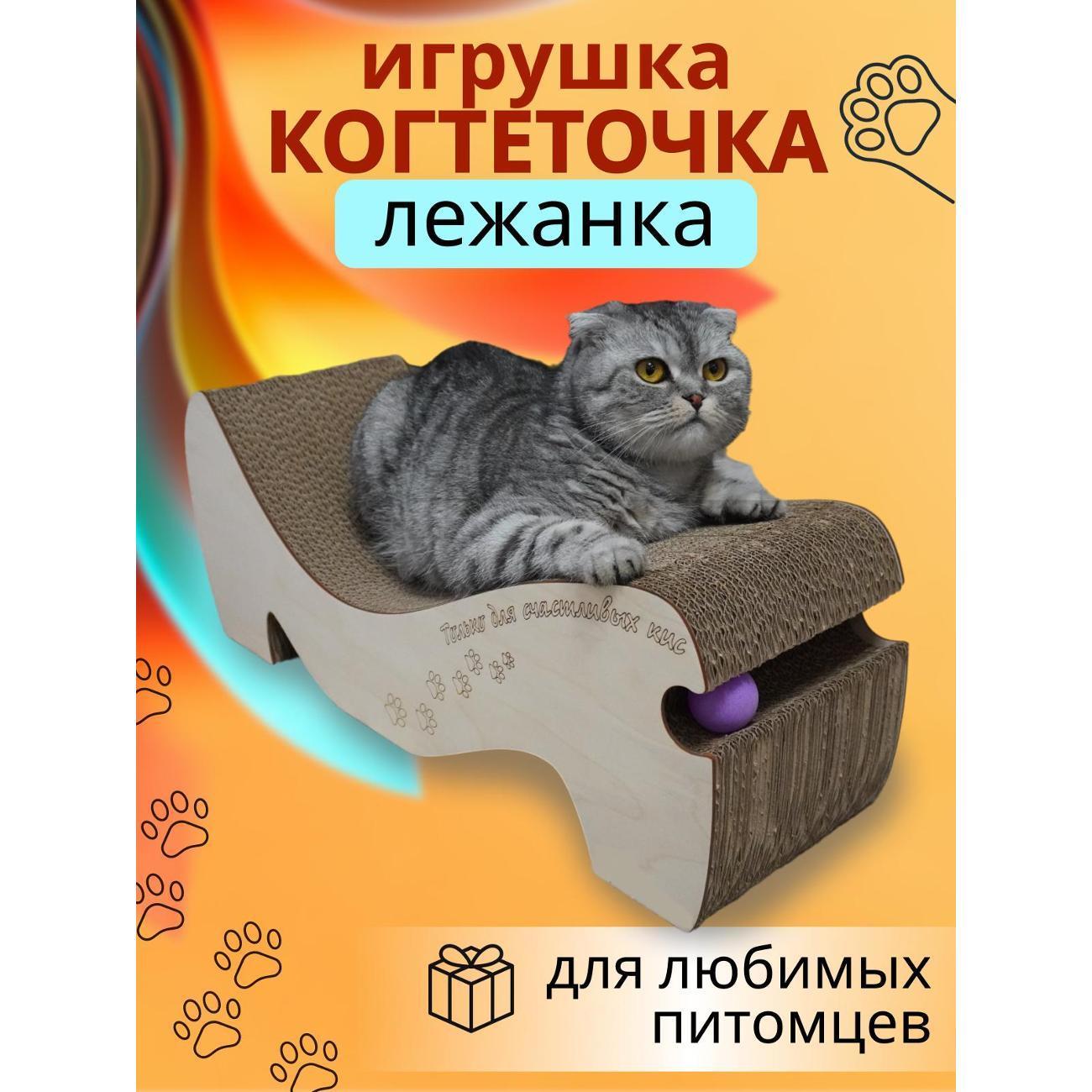 https://img.mvideo.ru/Big/400687017bb.jpg