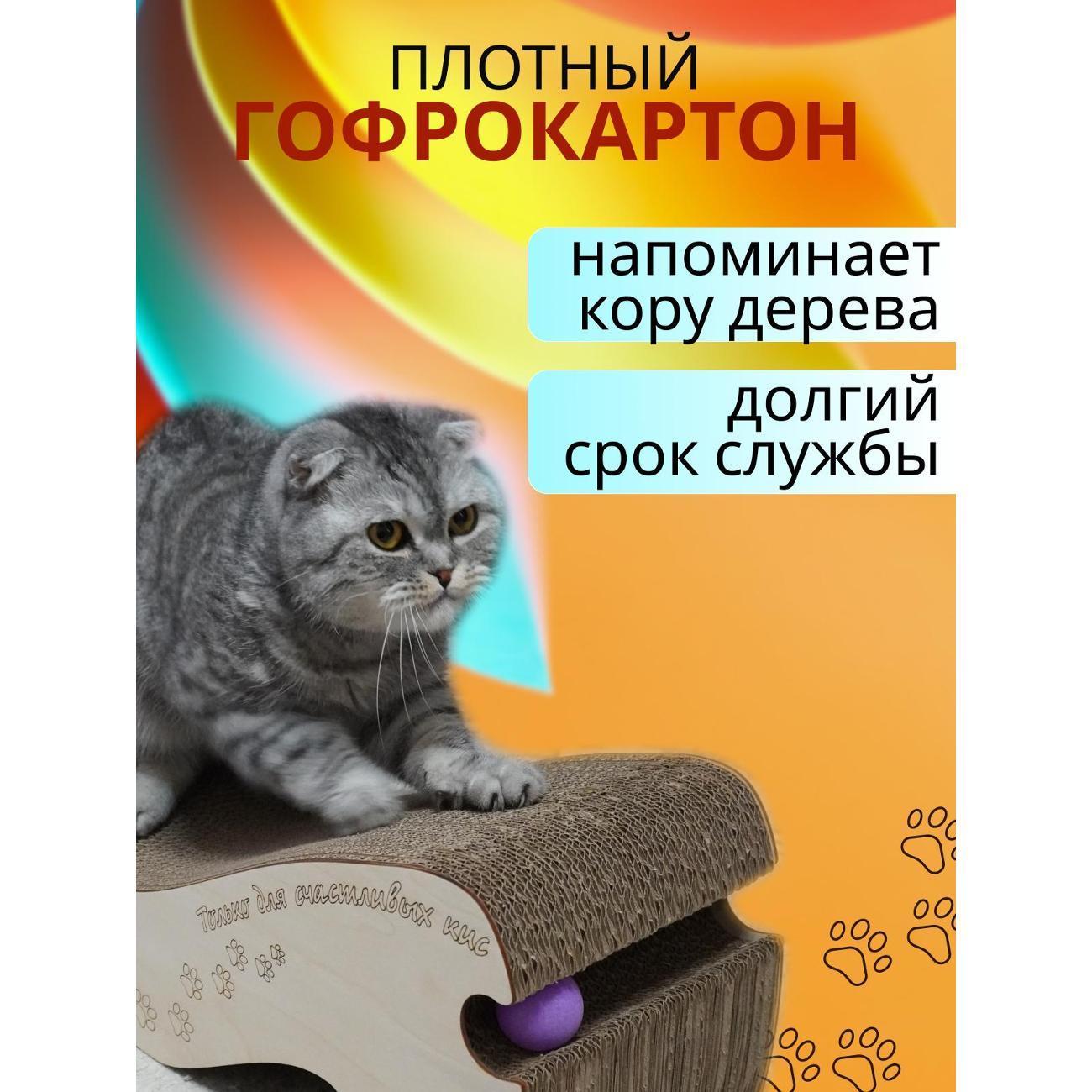https://img.mvideo.ru/Big/400687017bb4.jpg