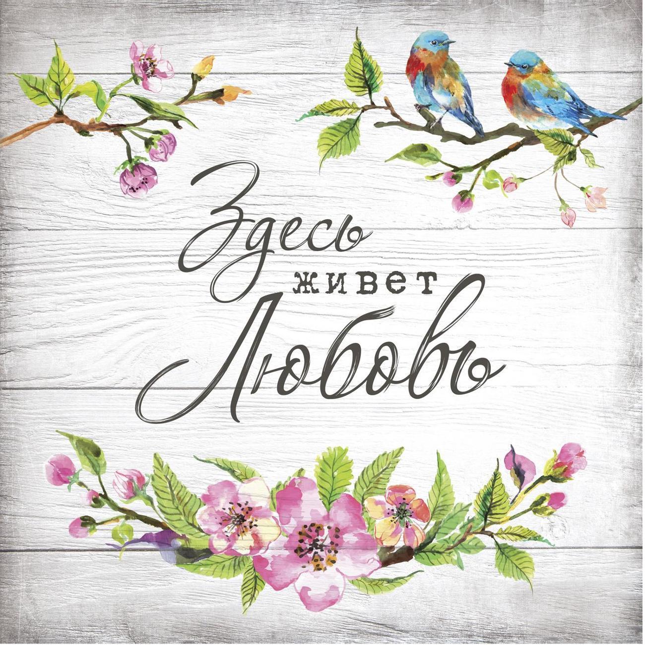 https://img.mvideo.ru/Big/400694420bb.jpg