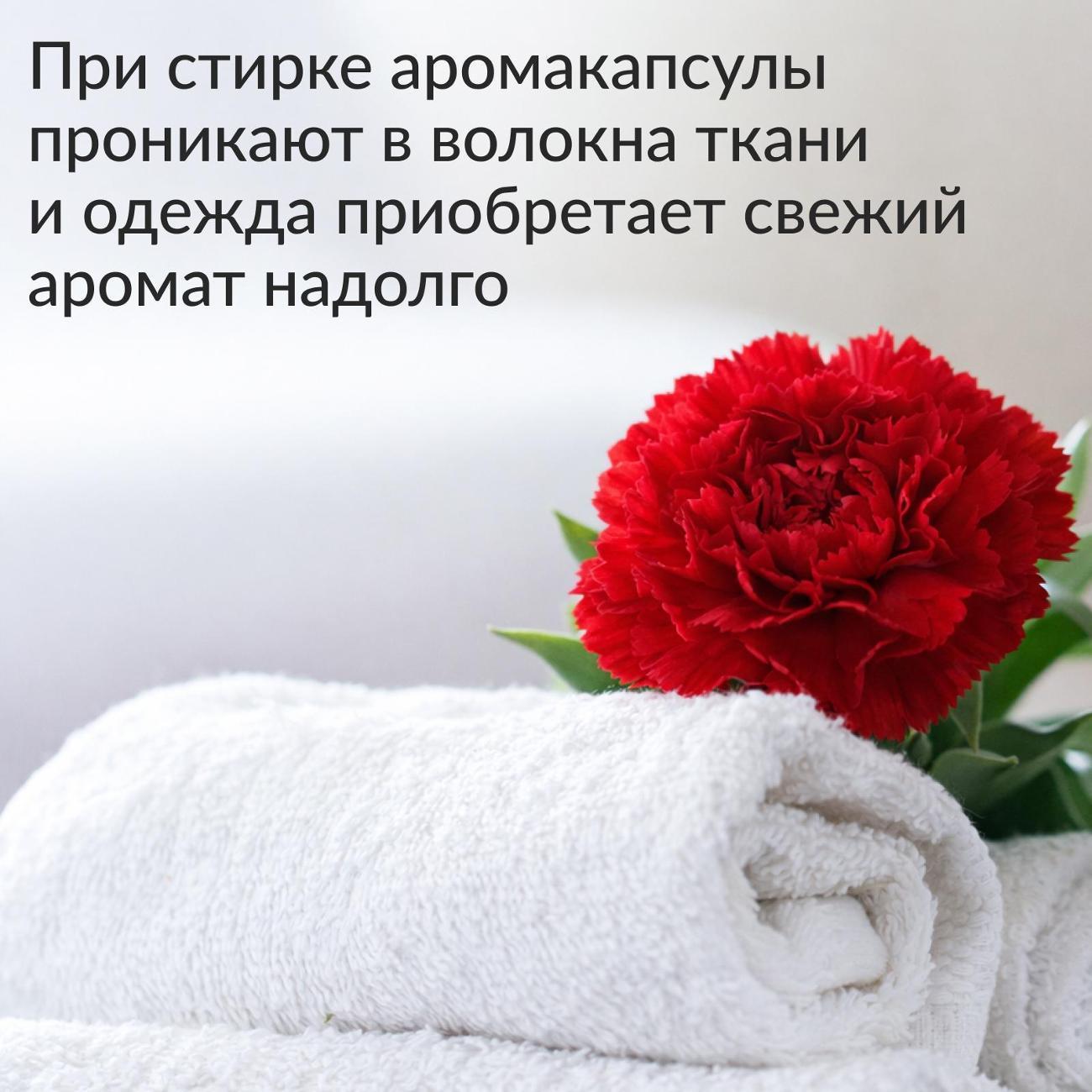 https://img.mvideo.ru/Big/400710007bb3.jpg