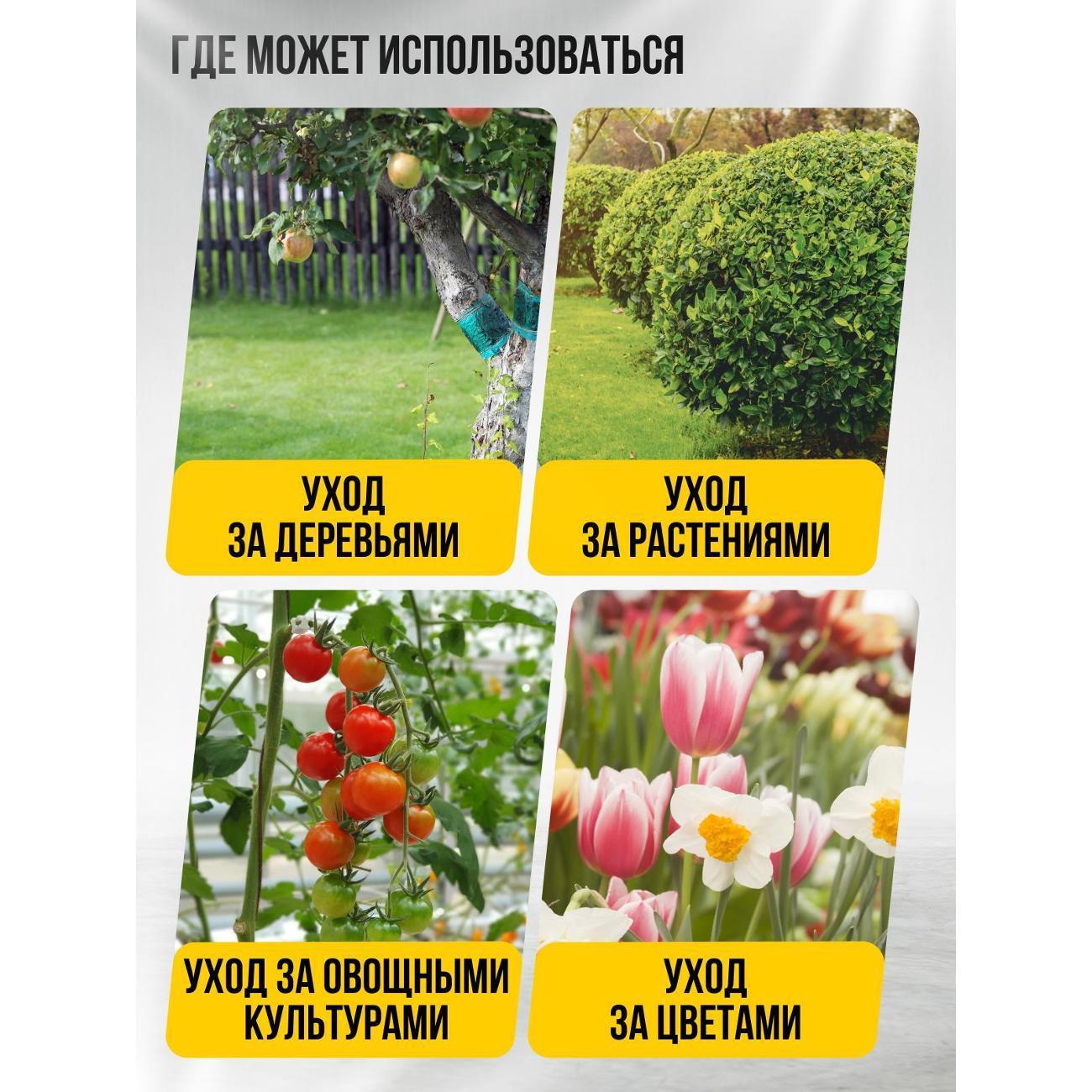 https://img.mvideo.ru/Big/400724839bb1.jpg