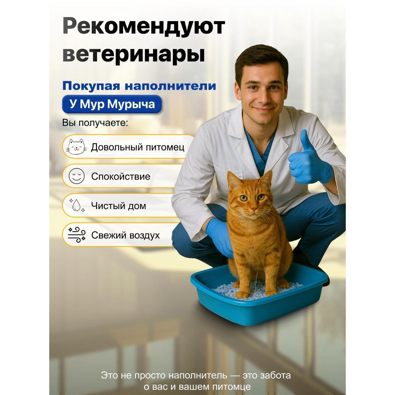 https://img.mvideo.ru/Big/400744390bb9.jpg