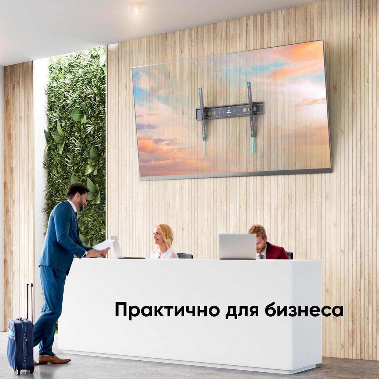 https://img.mvideo.ru/Big/400780569bb4.jpg