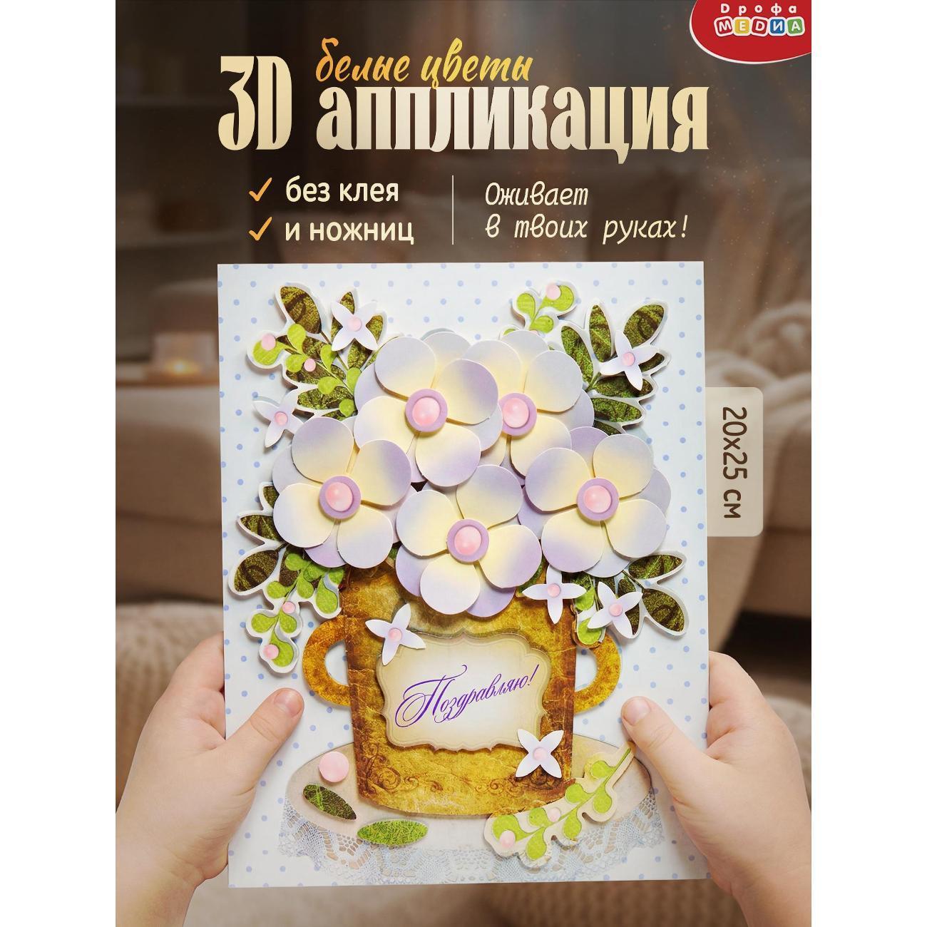 https://img.mvideo.ru/Big/400796778bb.jpg