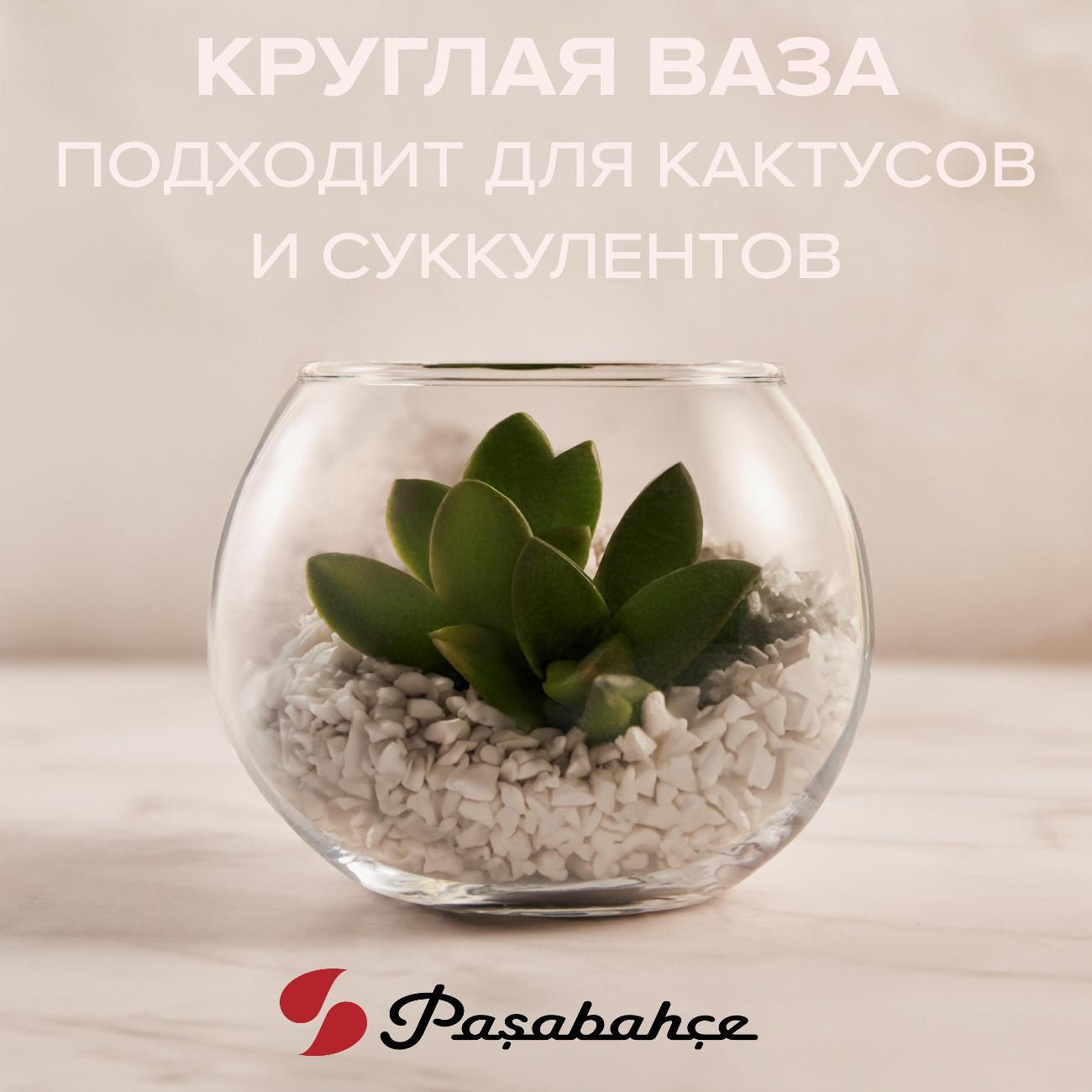 https://img.mvideo.ru/Big/400850370bb.jpg