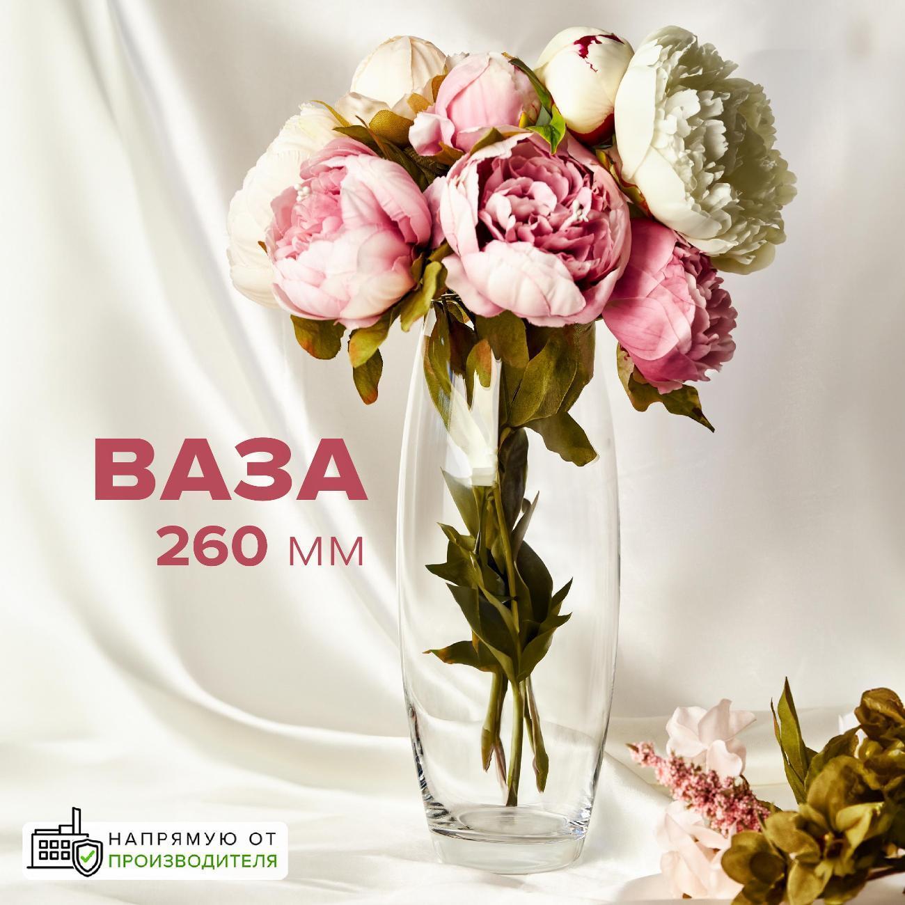 https://img.mvideo.ru/Big/400850816bb.jpg