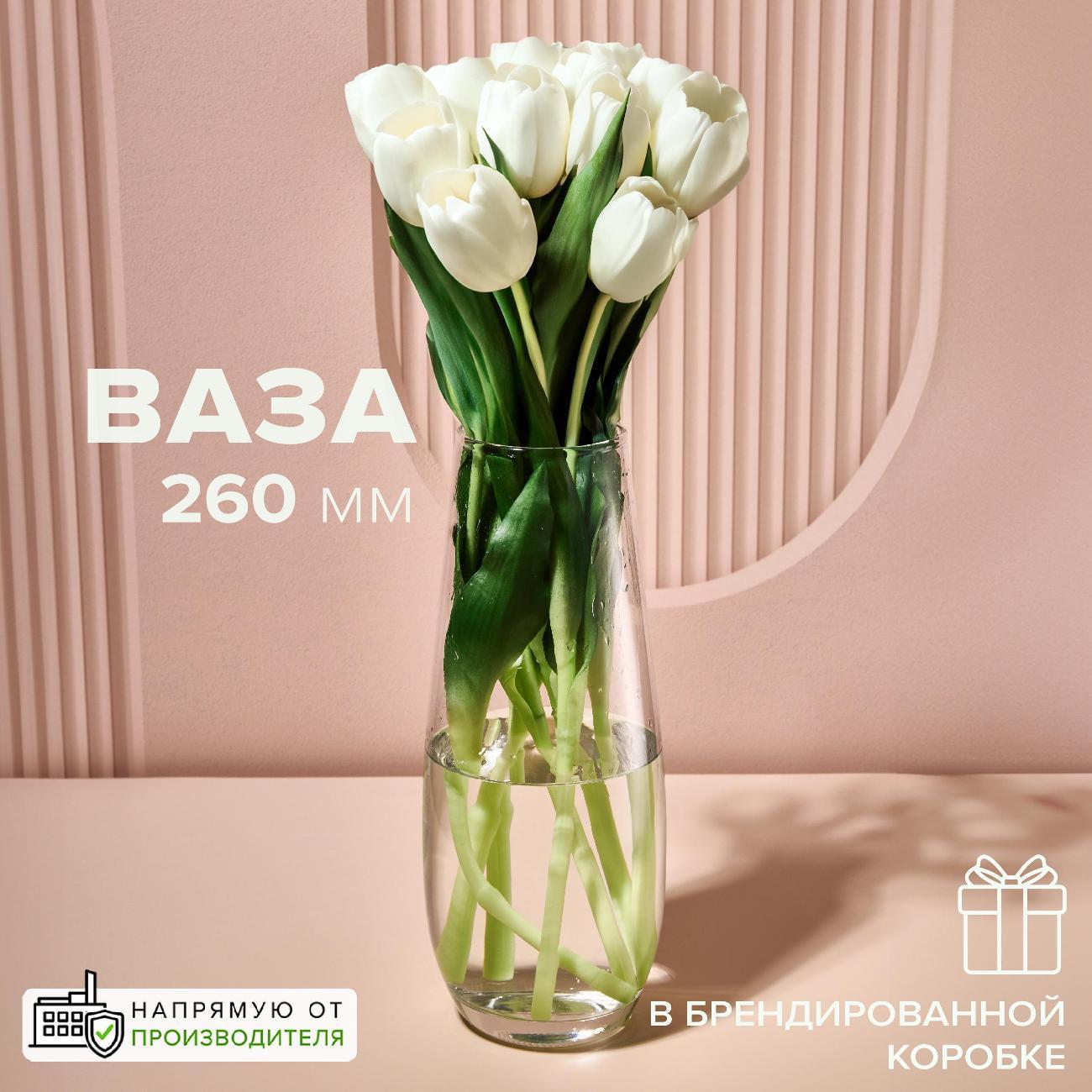https://img.mvideo.ru/Big/400850870bb.jpg