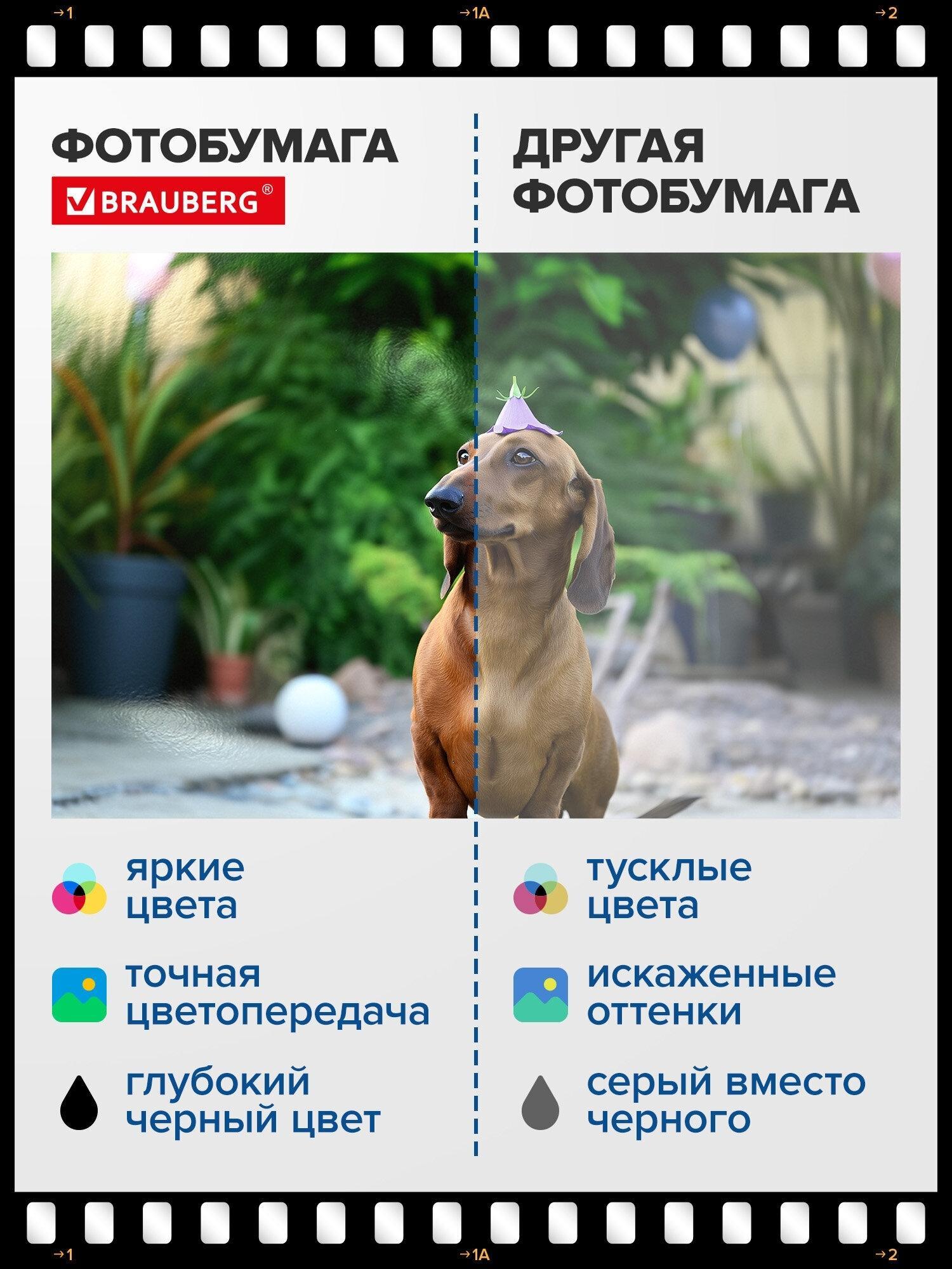 https://img.mvideo.ru/Big/400b9b74-eb0b-4d03-a9ce-88a8af28472a.jpg