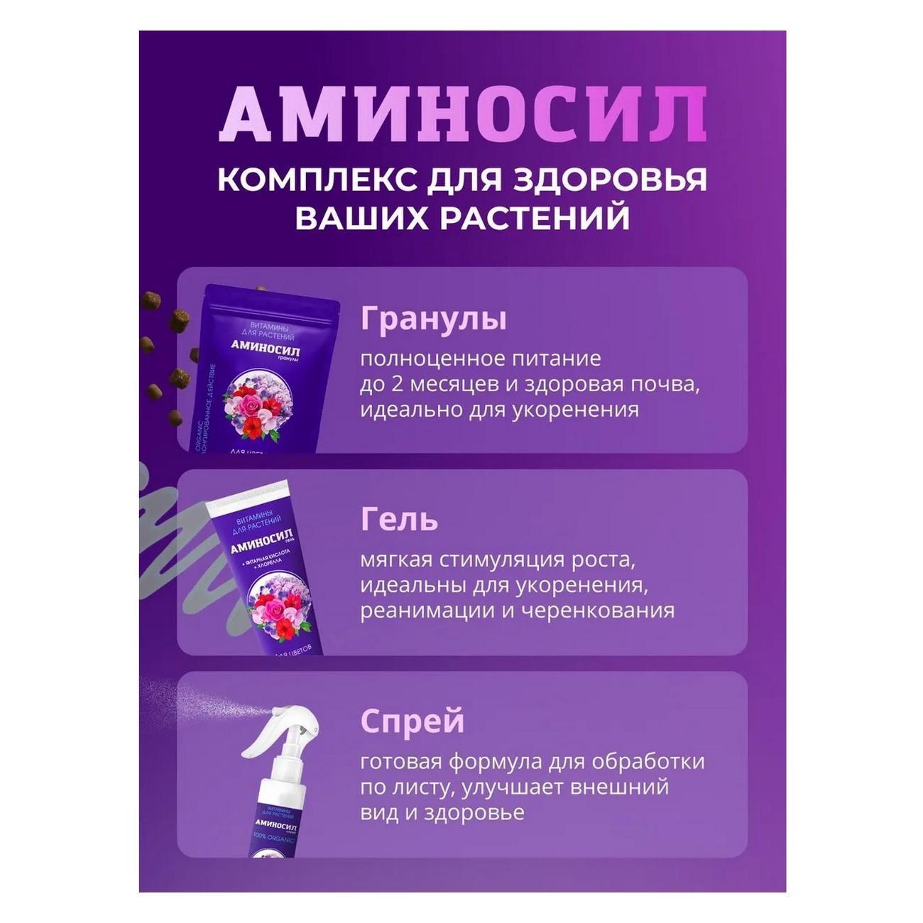 https://img.mvideo.ru/Big/45539c25-87ef-4026-9a3d-c02fbc70d72b.jpg