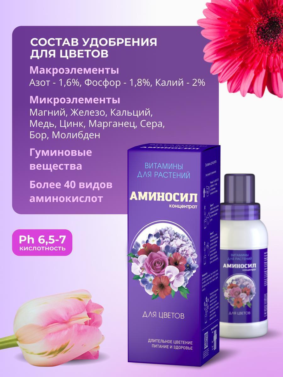 https://img.mvideo.ru/Big/45a412d0-473c-47fc-8a58-b1b83297df04.jpg