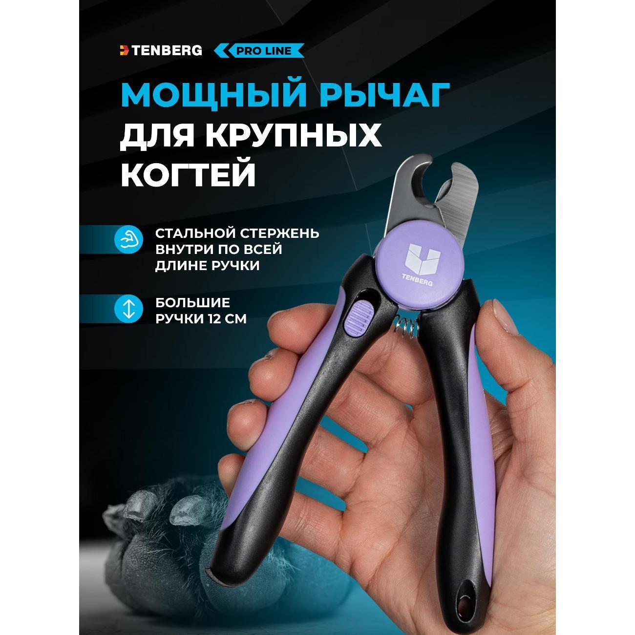 https://img.mvideo.ru/Big/46a1f676-12a3-4a66-87b1-caad9869ae26.jpg