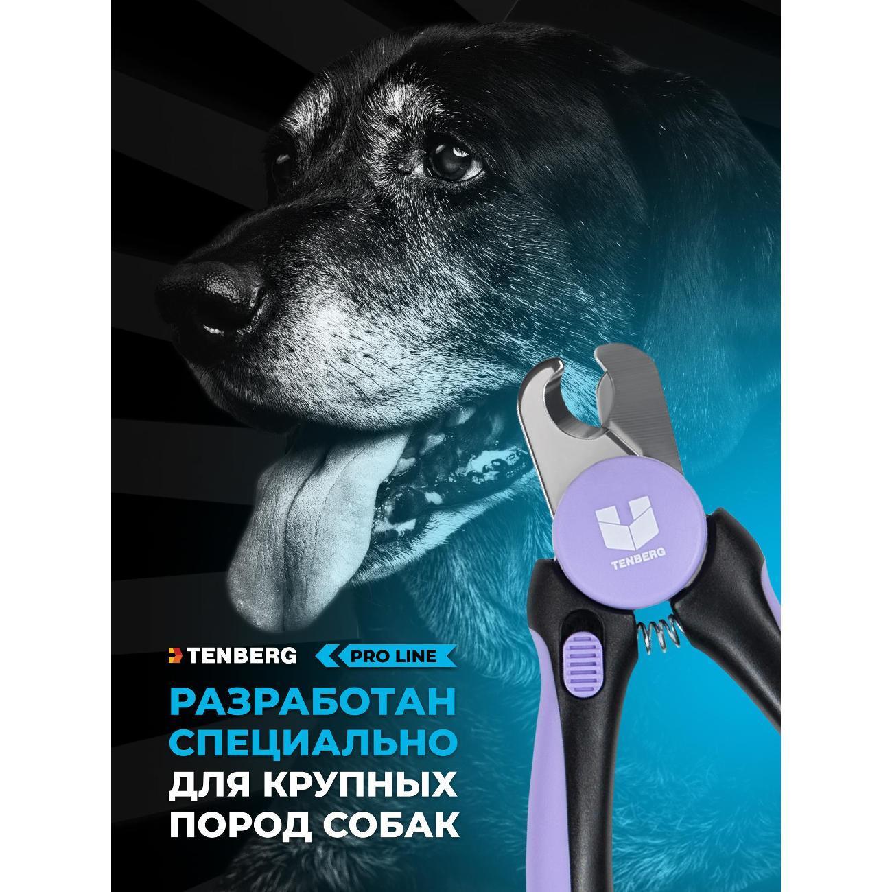https://img.mvideo.ru/Big/4d258977-24c8-42b2-afd9-0eb49b50c8dc.jpg