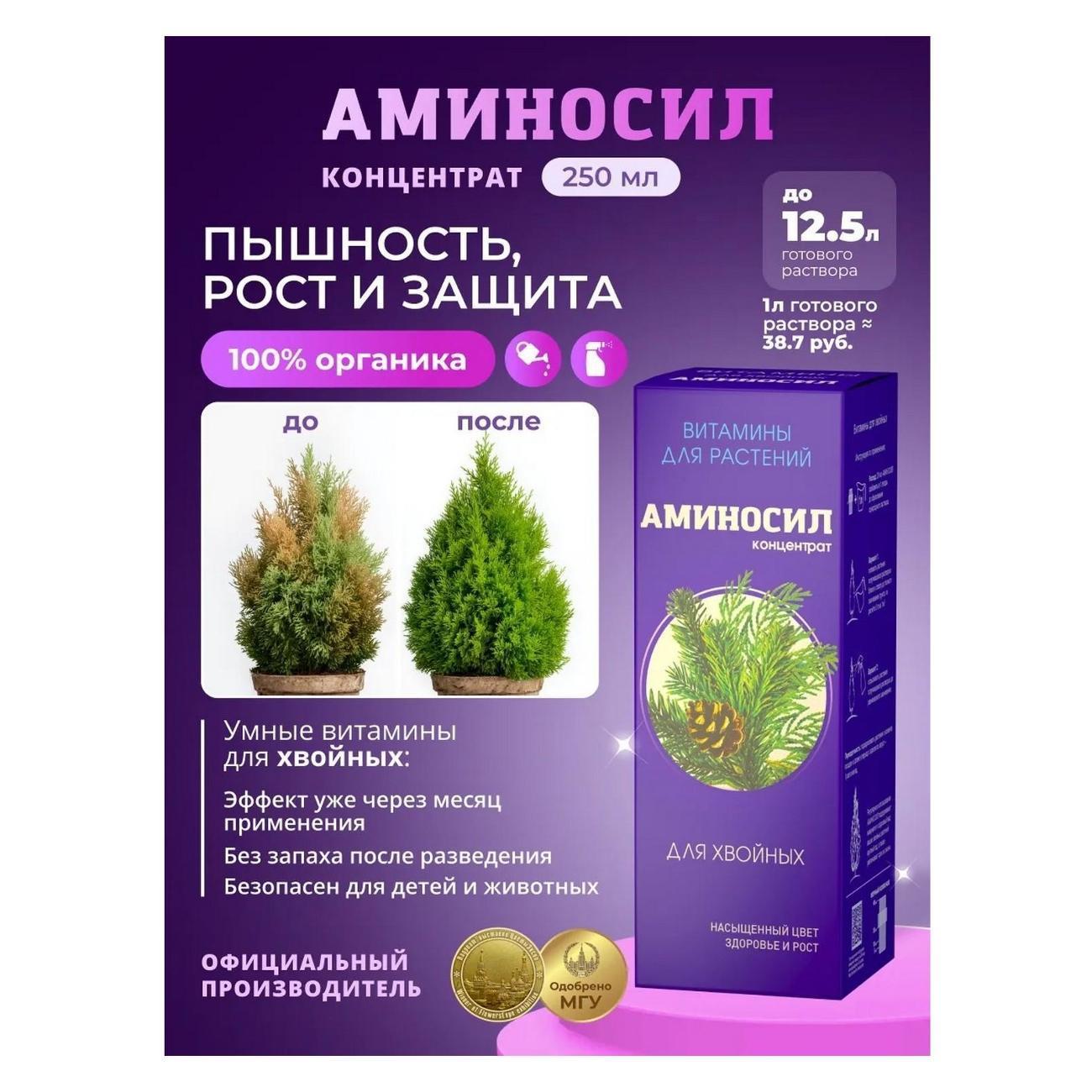 https://img.mvideo.ru/Big/55f41aac-d4e8-47de-84fb-8ac5eab52526.jpg