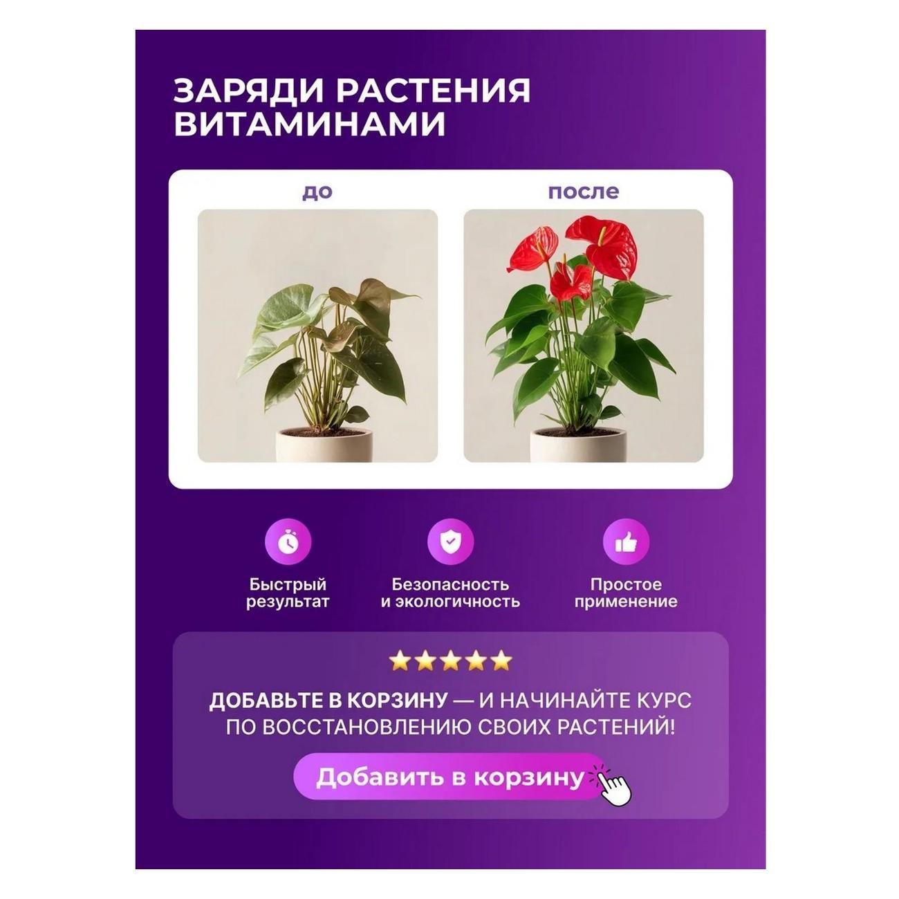 https://img.mvideo.ru/Big/5b316b10-1f62-49ce-9063-8e8724dfd019.jpg