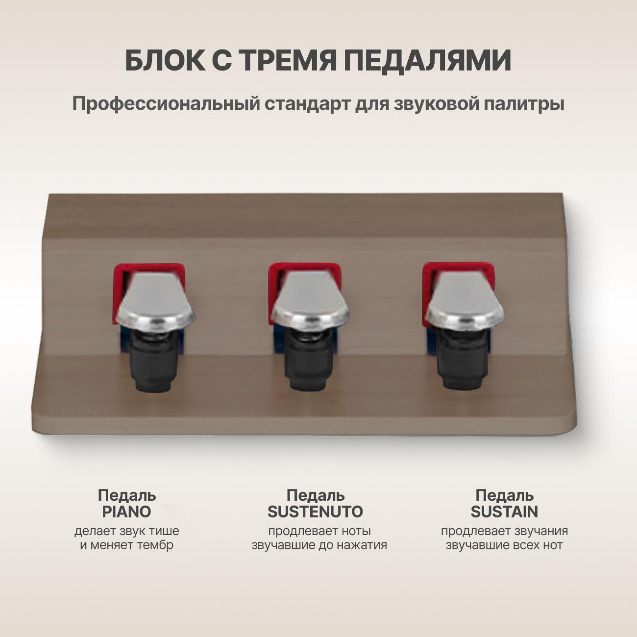 https://img.mvideo.ru/Big/5c2a98f3-3605-482e-b339-0e52b19e0c98.jpg