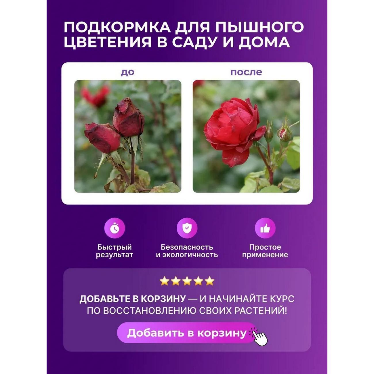 https://img.mvideo.ru/Big/61b3f621-0690-459f-b511-b41e3bc79cae.jpg