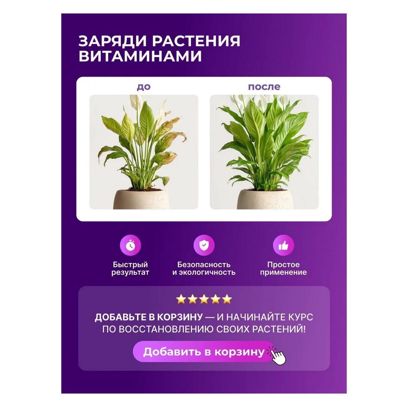 https://img.mvideo.ru/Big/632893a0-079e-45de-9b87-9accdda75f05.jpg
