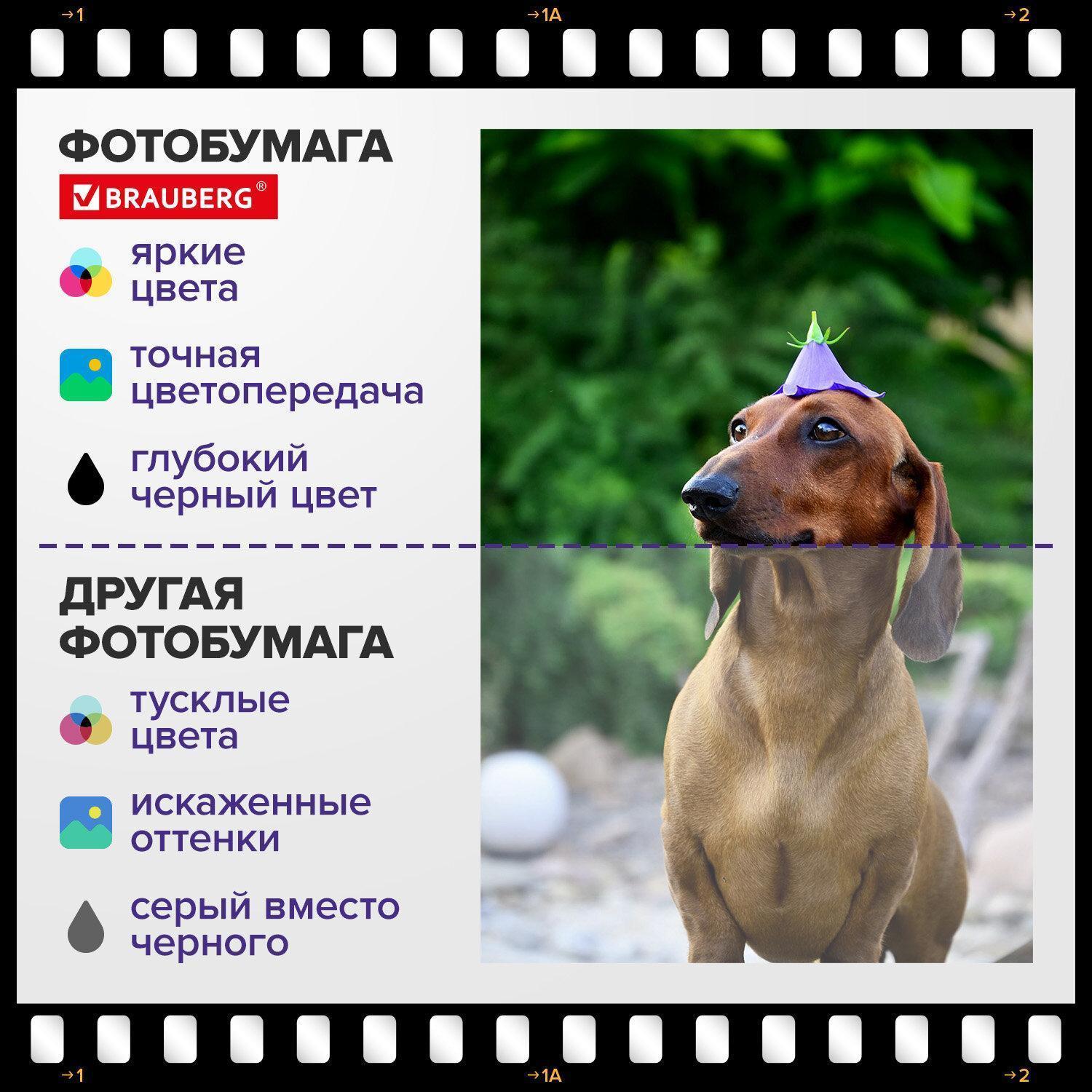 https://img.mvideo.ru/Big/665212cd-b098-45fd-a897-64776aab4f58.jpg