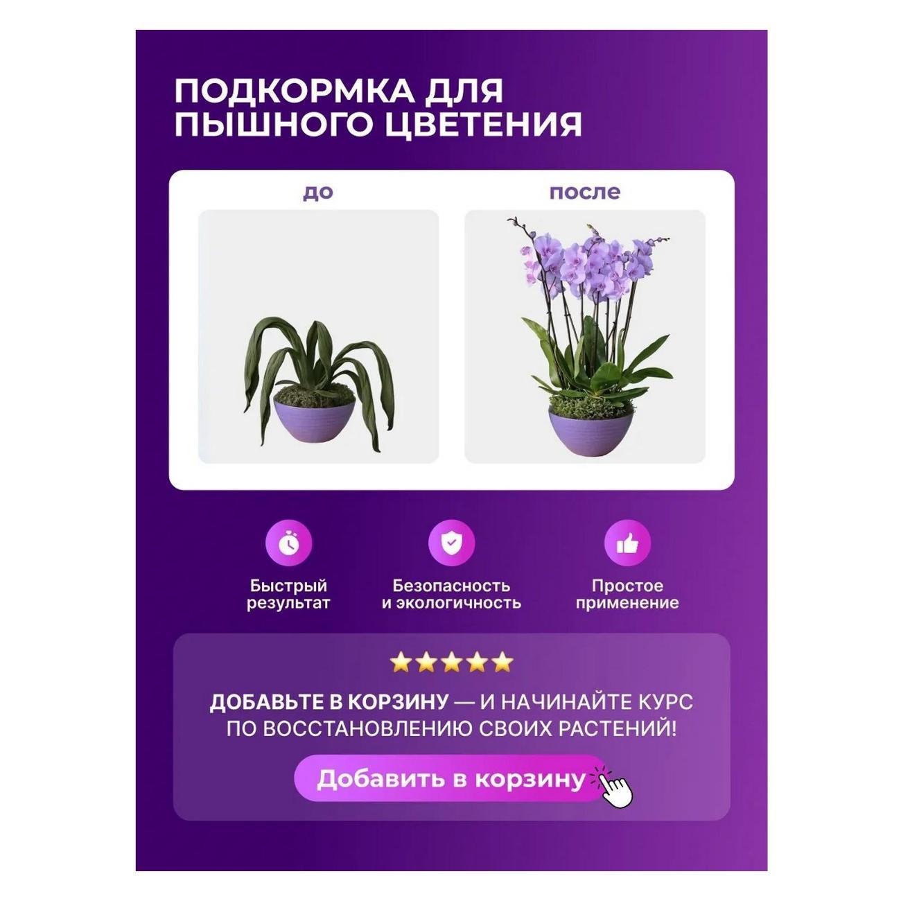 https://img.mvideo.ru/Big/68cb0462-f1c4-4c65-82c7-2a0392ae90e4.jpg