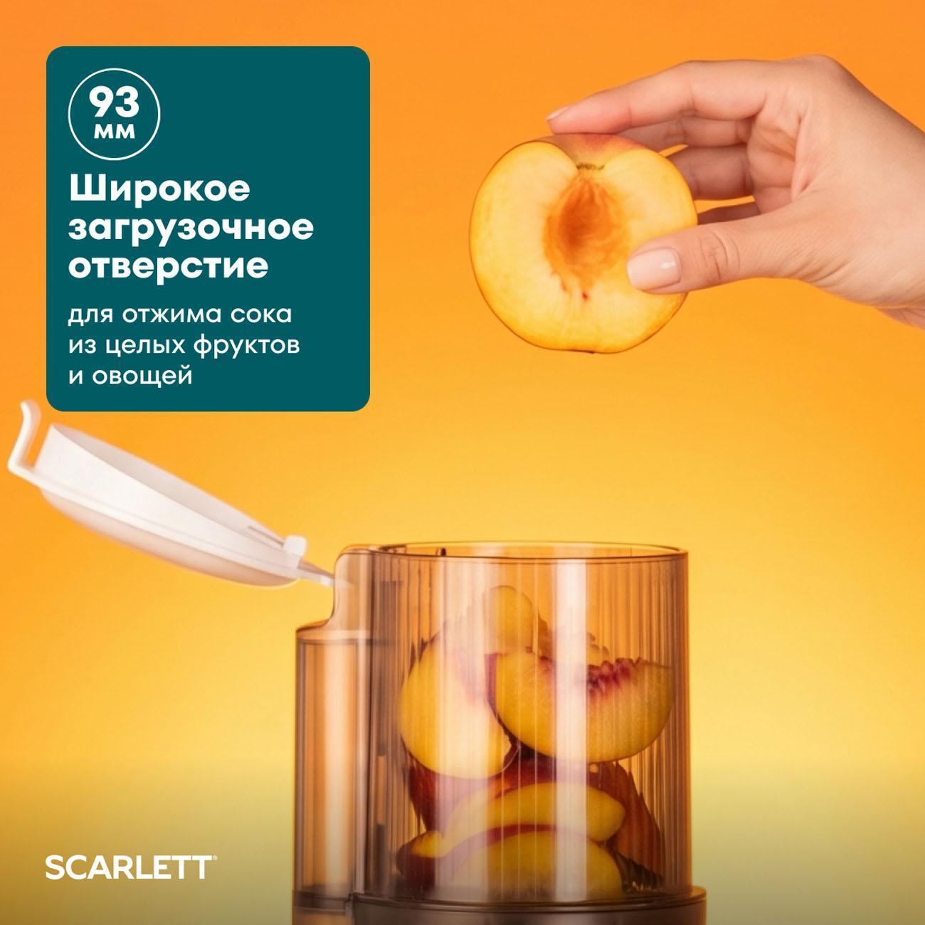 https://img.mvideo.ru/Big/6d03ecd1-d811-4819-8f82-5592b97c3070.jpg