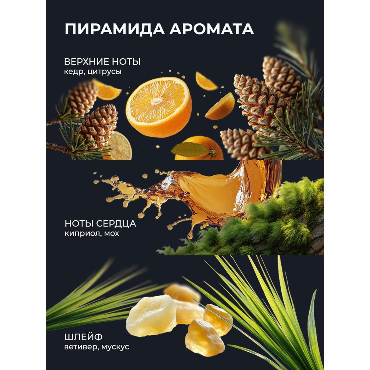https://img.mvideo.ru/Big/76c25bb2-e5ba-4165-95a7-6dd8c5d95dce.jpg