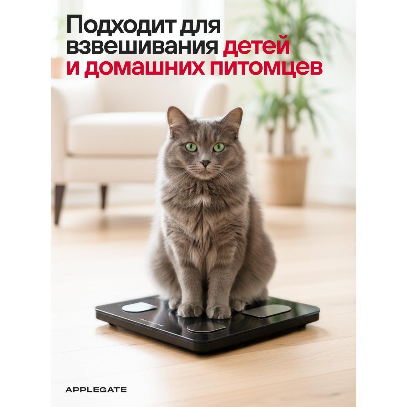 https://img.mvideo.ru/Big/7d9953f6-bb45-4a48-a5f4-f4fb39f4b6d8.jpg