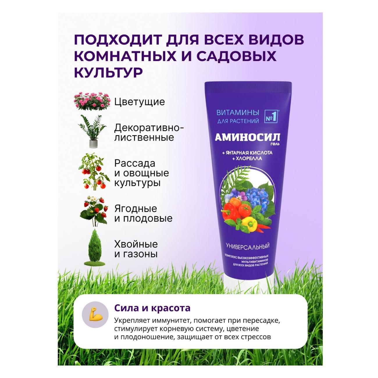 https://img.mvideo.ru/Big/85a3dd96-459f-40ef-850b-36a1d74c10cb.jpg